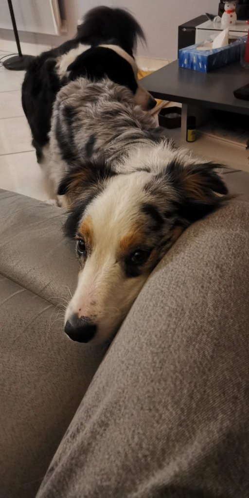 image-3