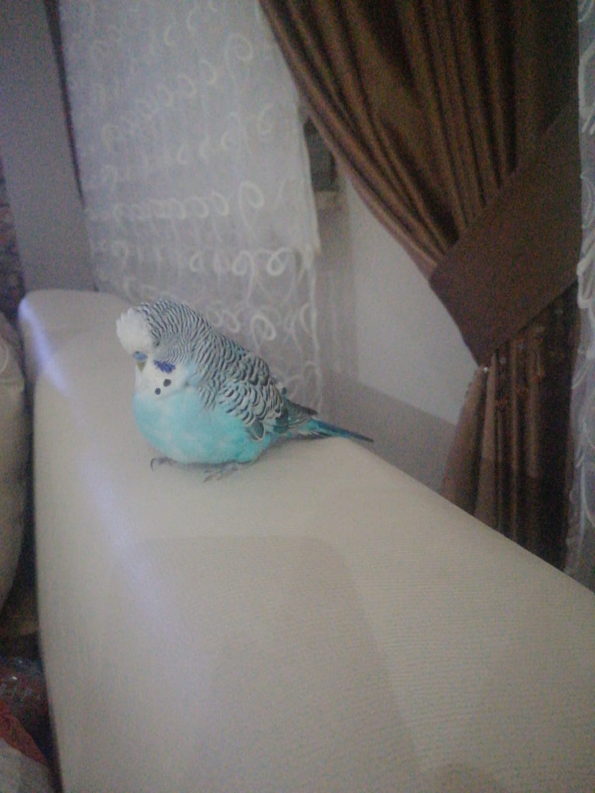 image-8