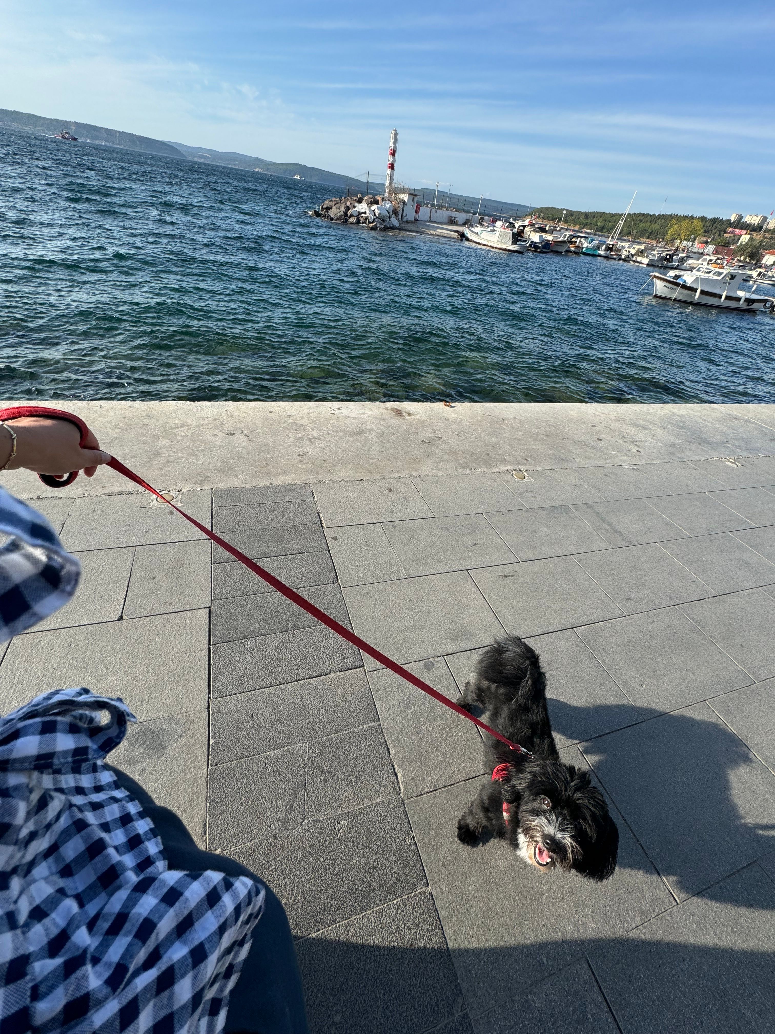 image-11