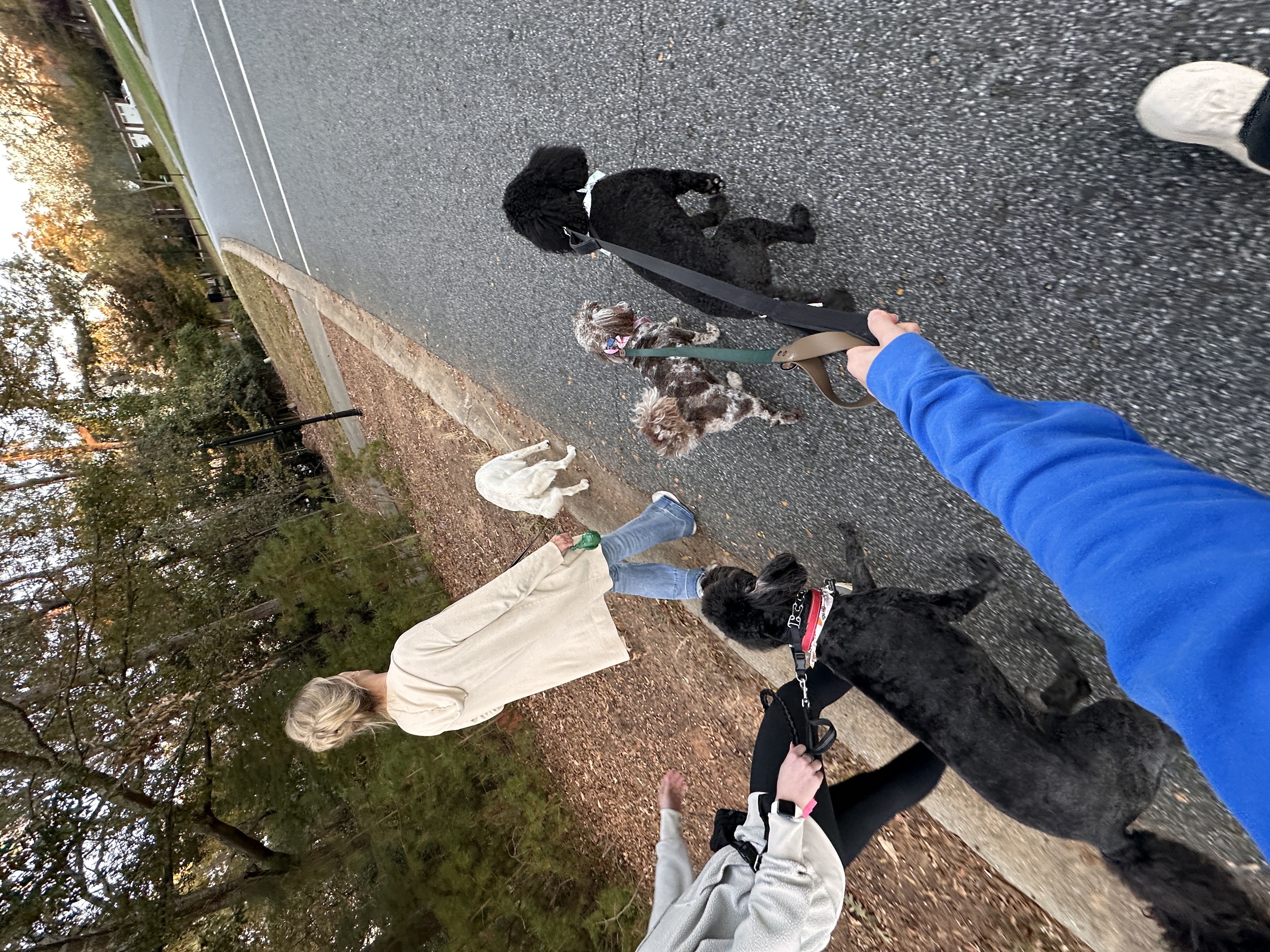 image-5
