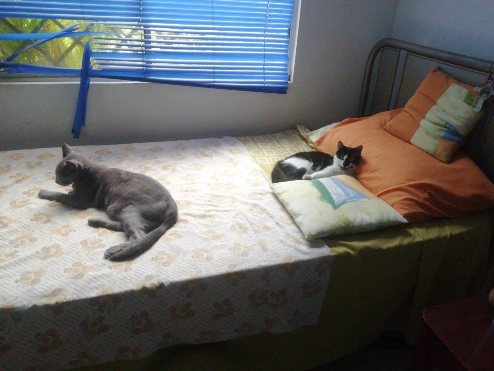 image-12