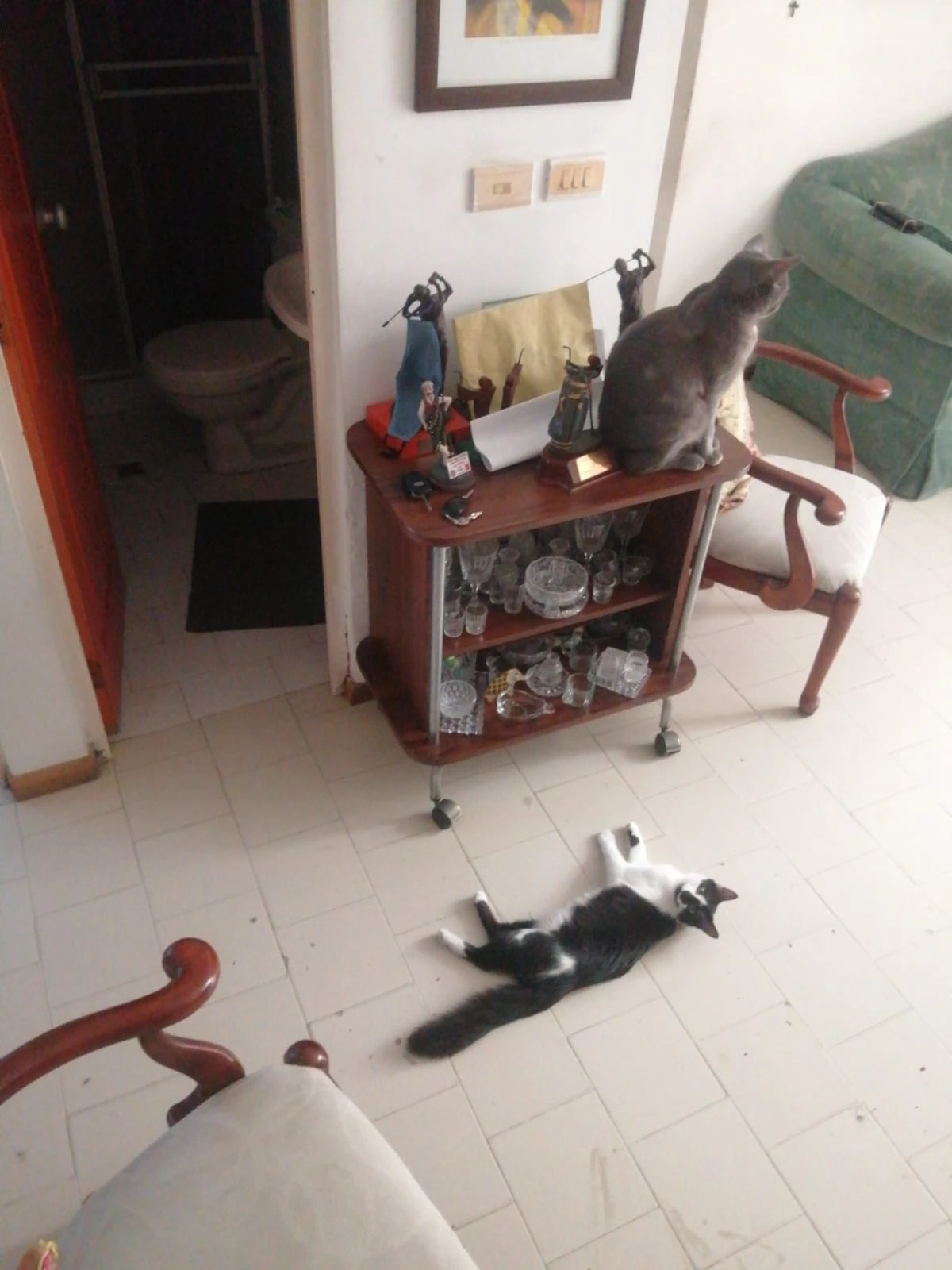 image-13