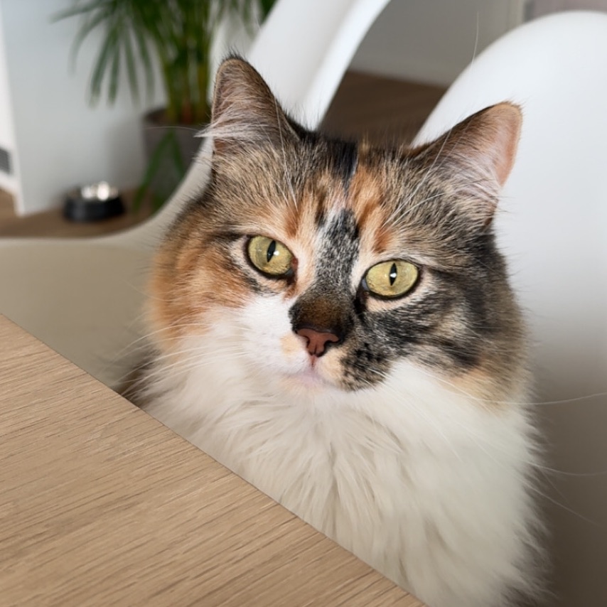 Mia