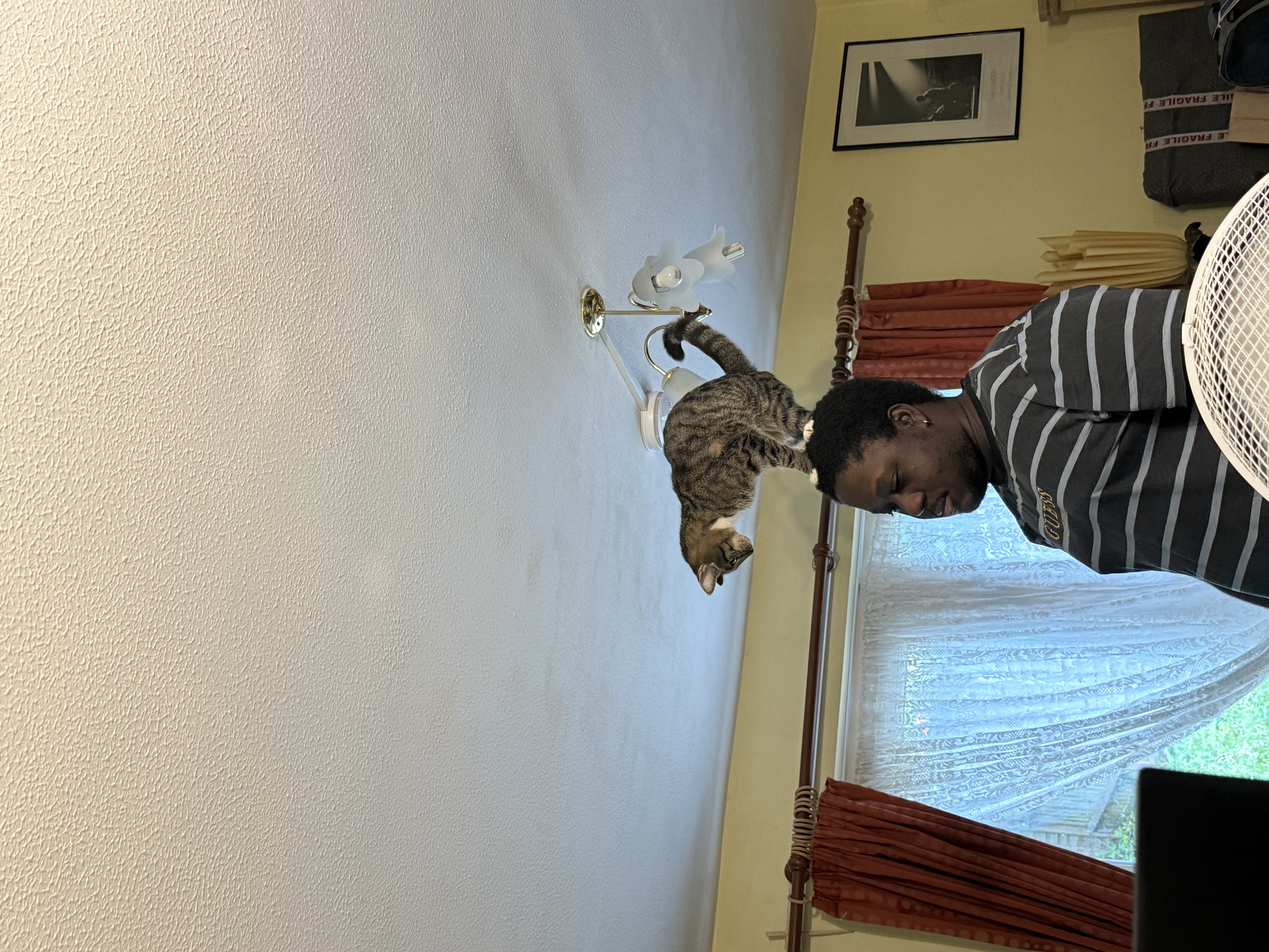 image-8