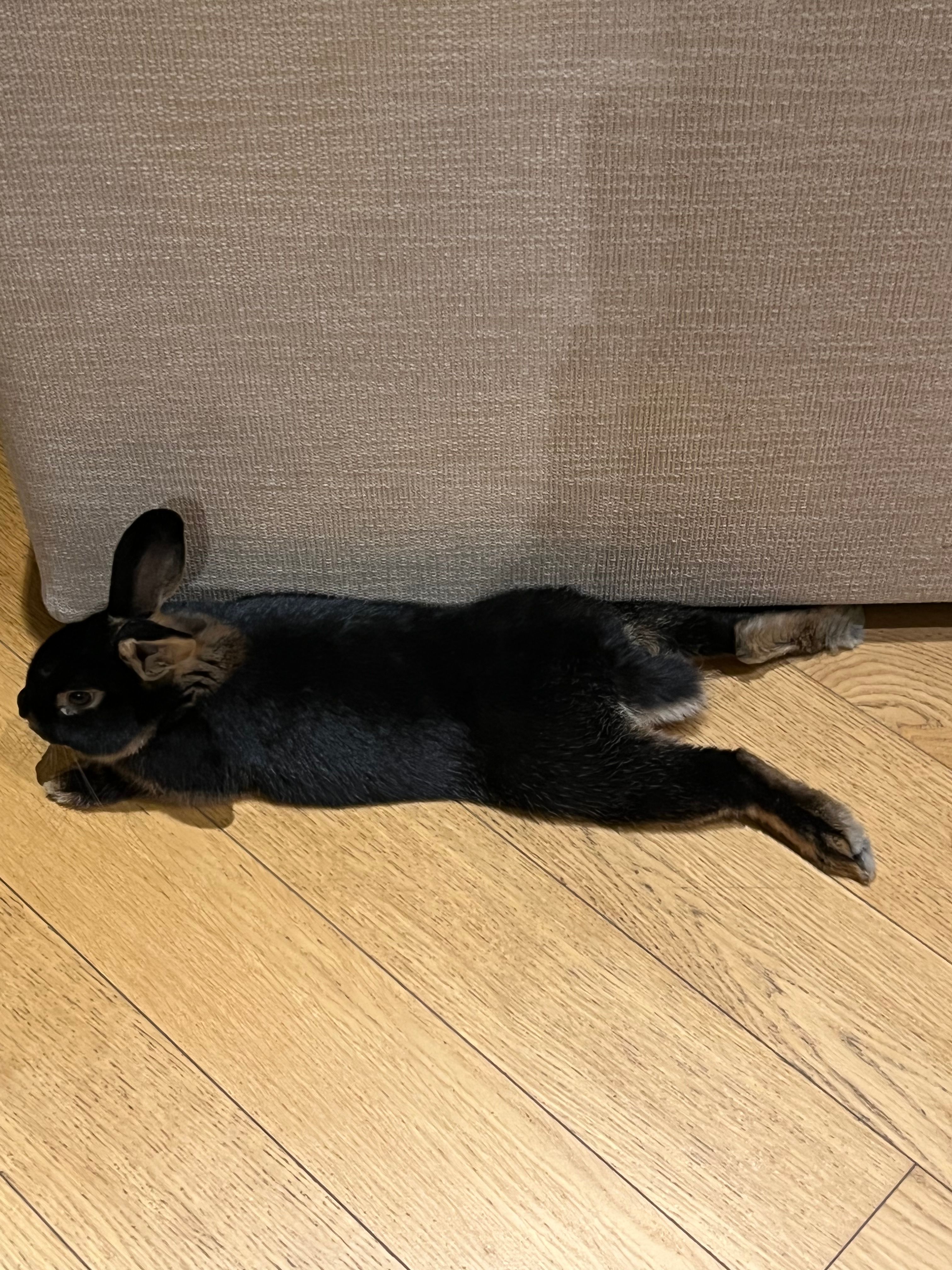 image-7