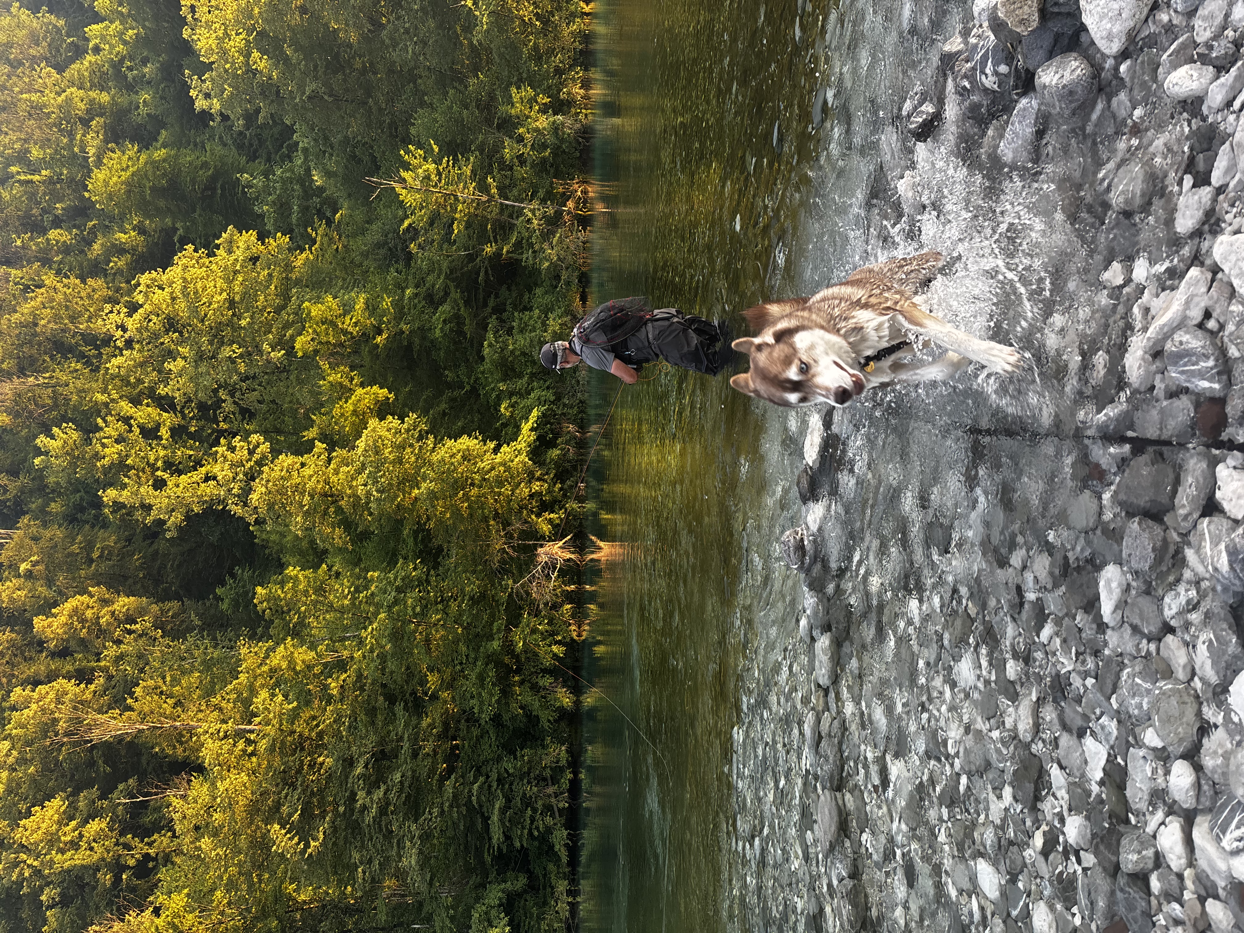 image-8
