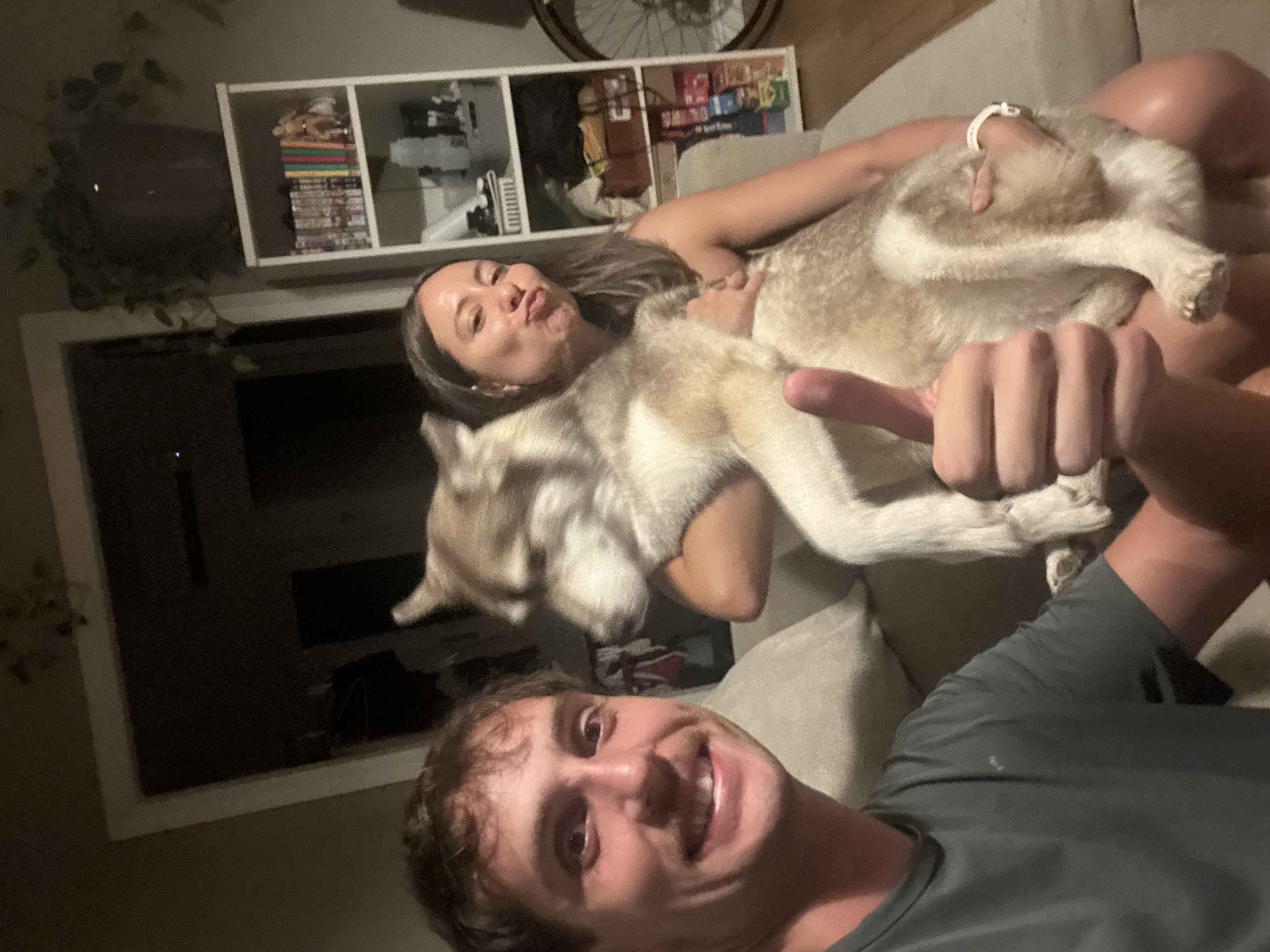 image-6