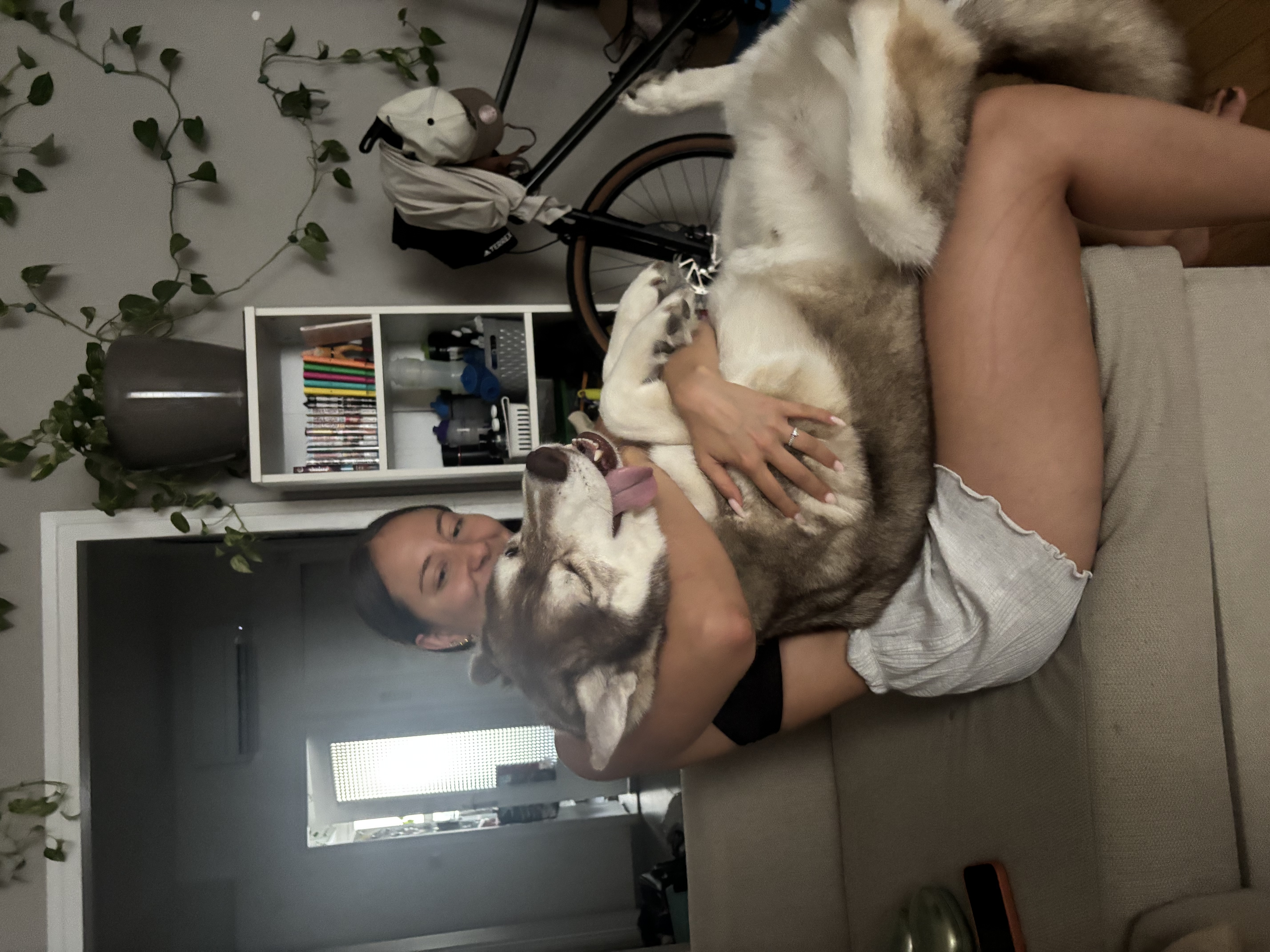 image-9