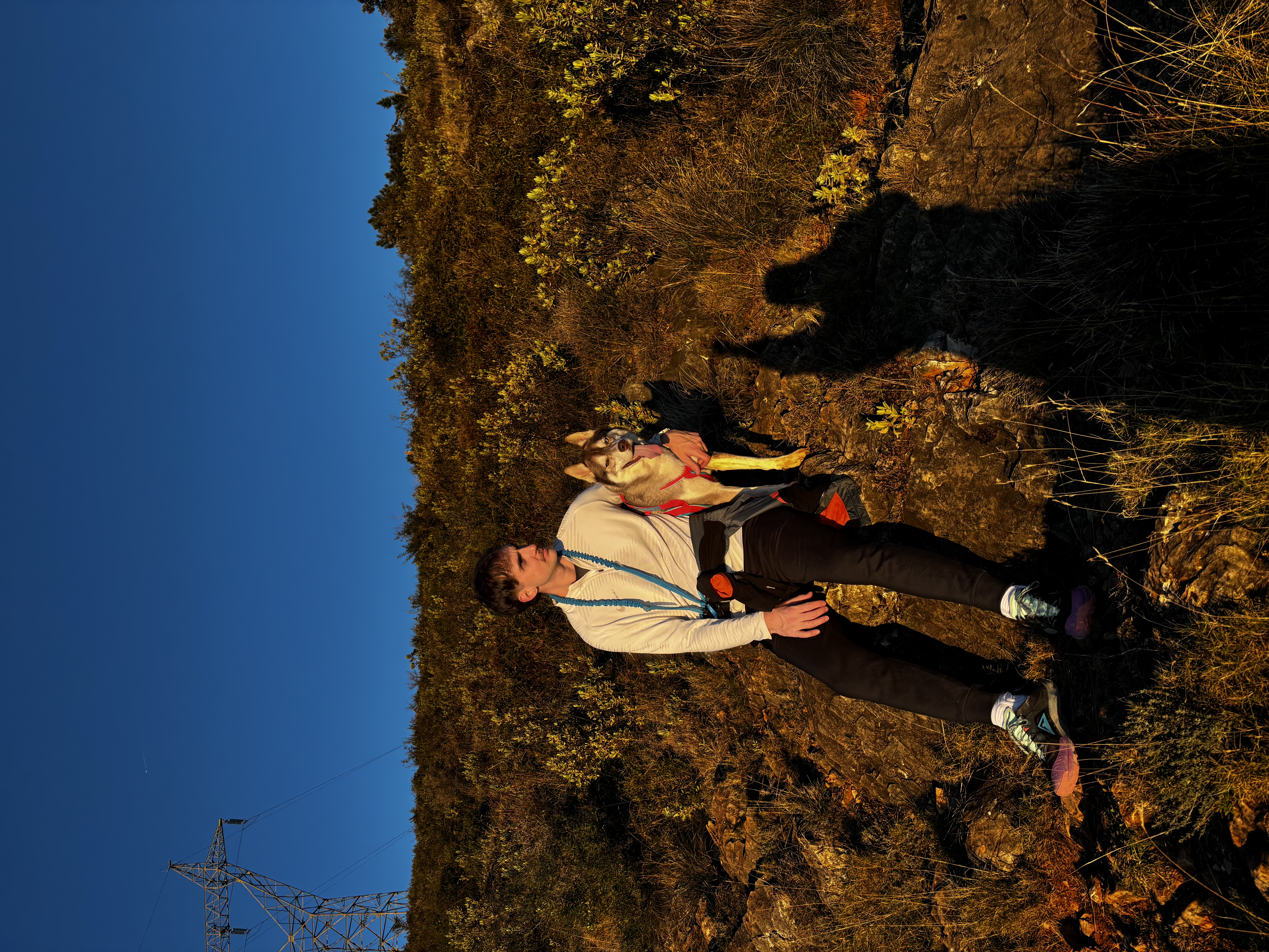 image-0