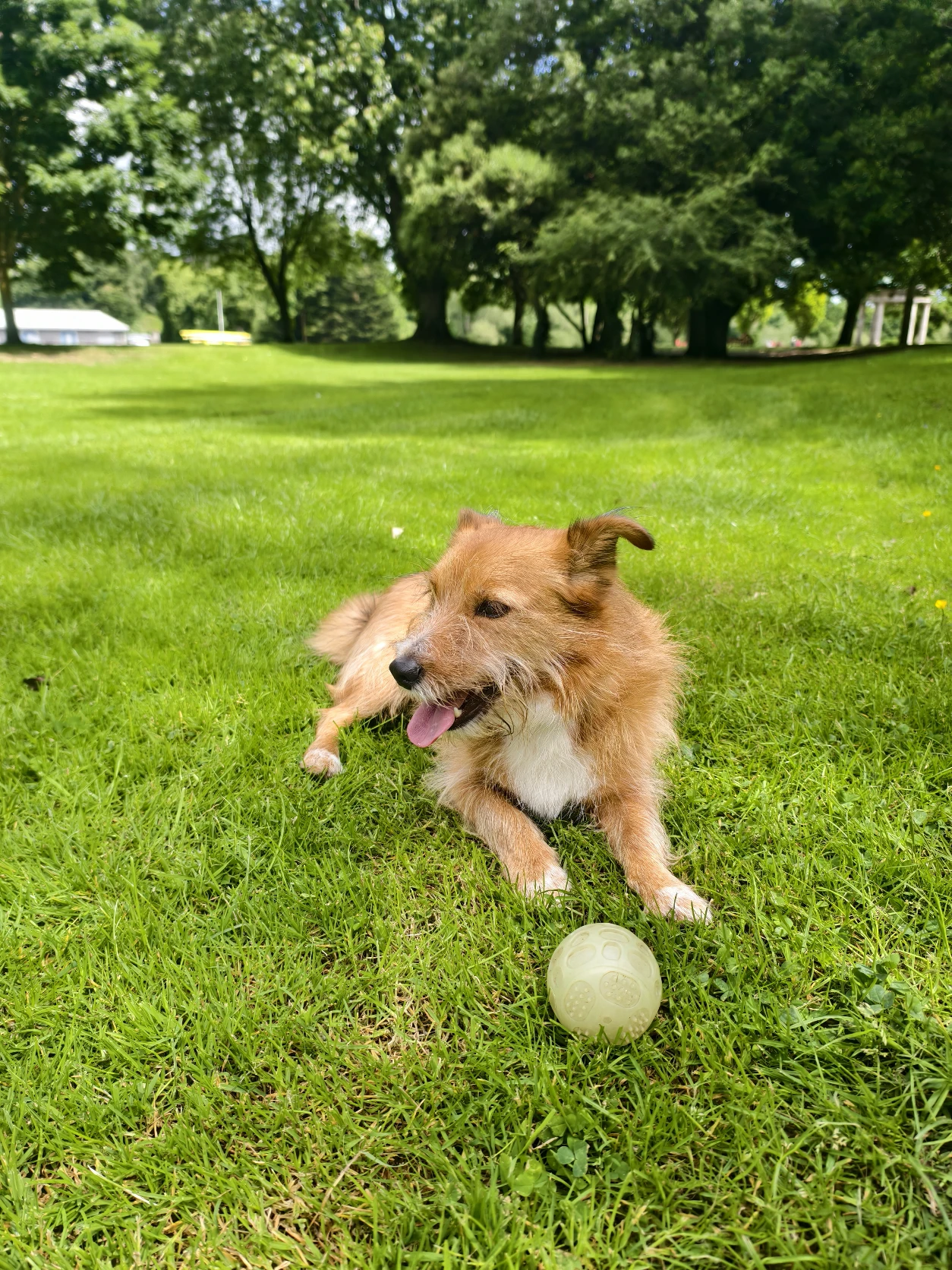 image-6