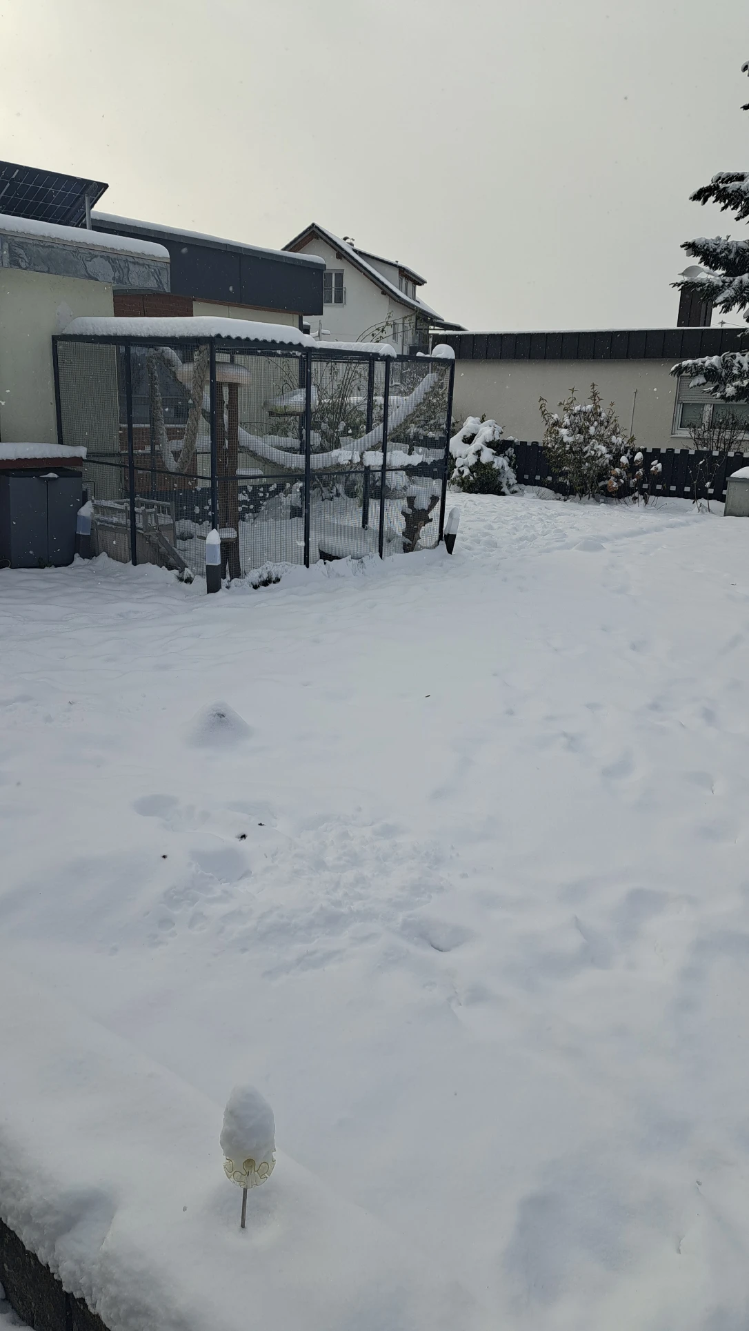 image-13