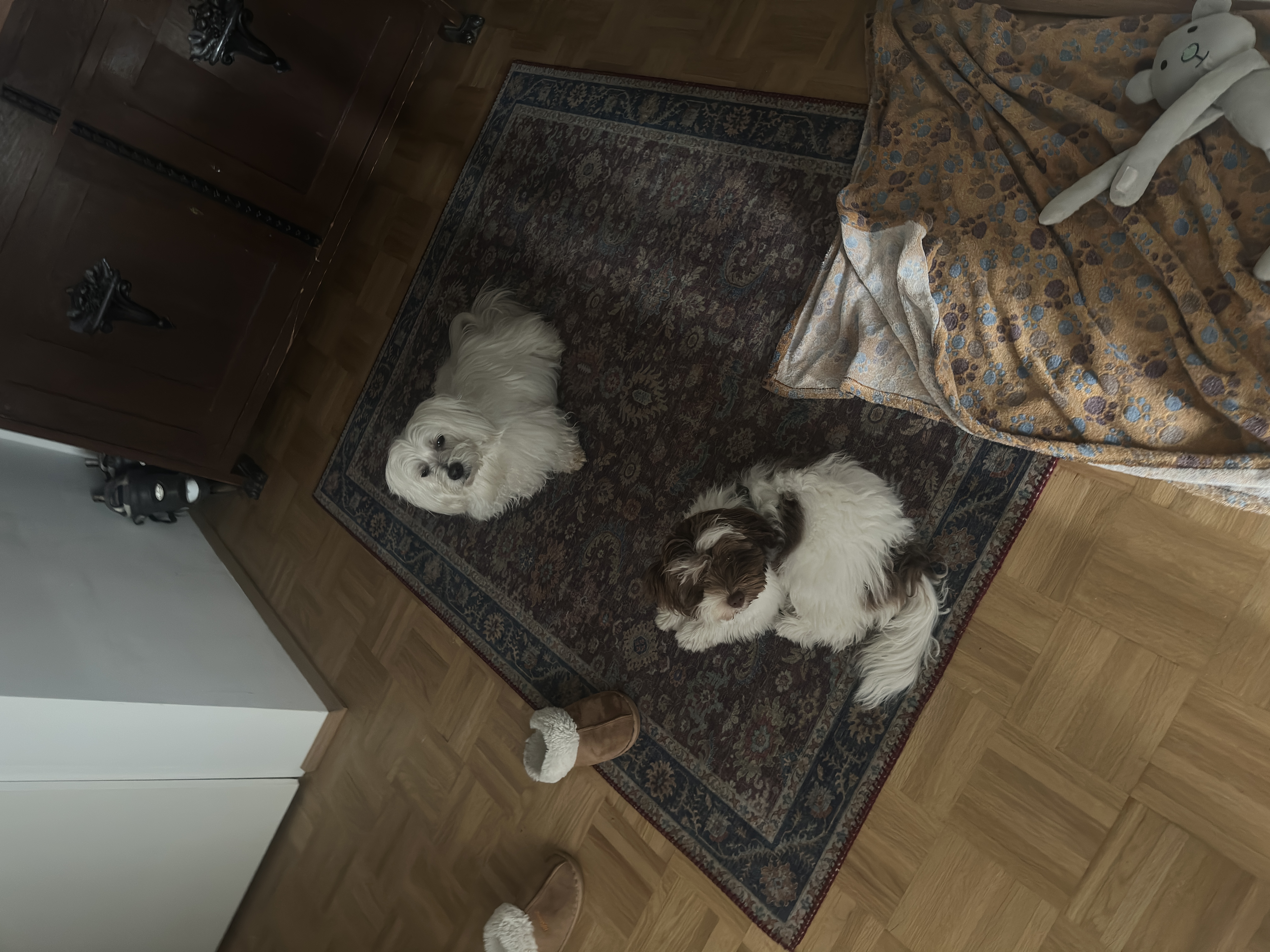 image-9