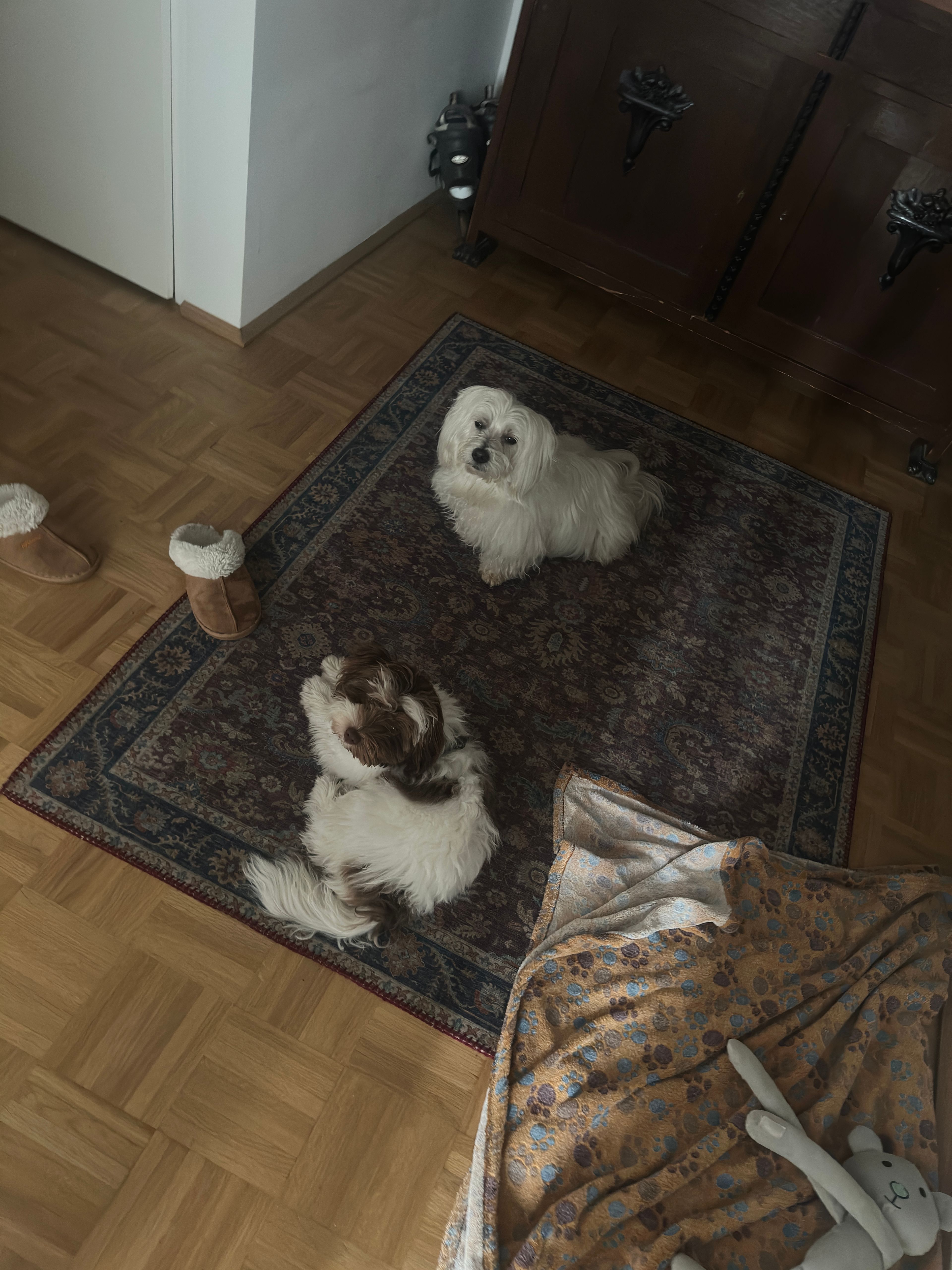 image-9