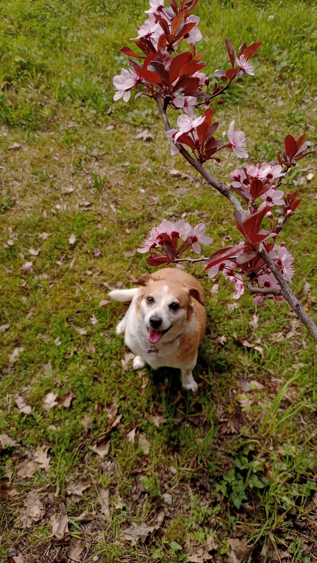 image-5