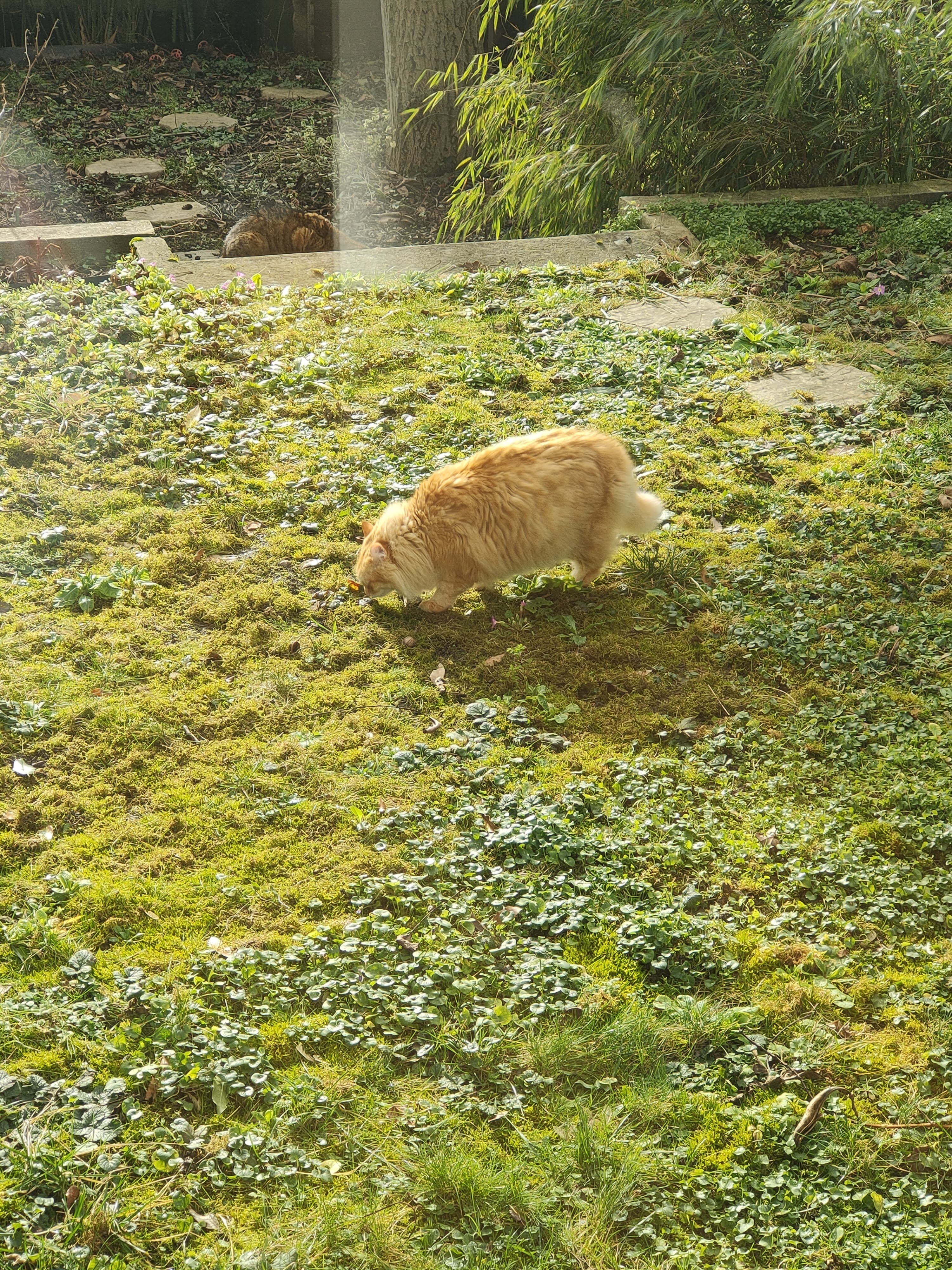 image-12