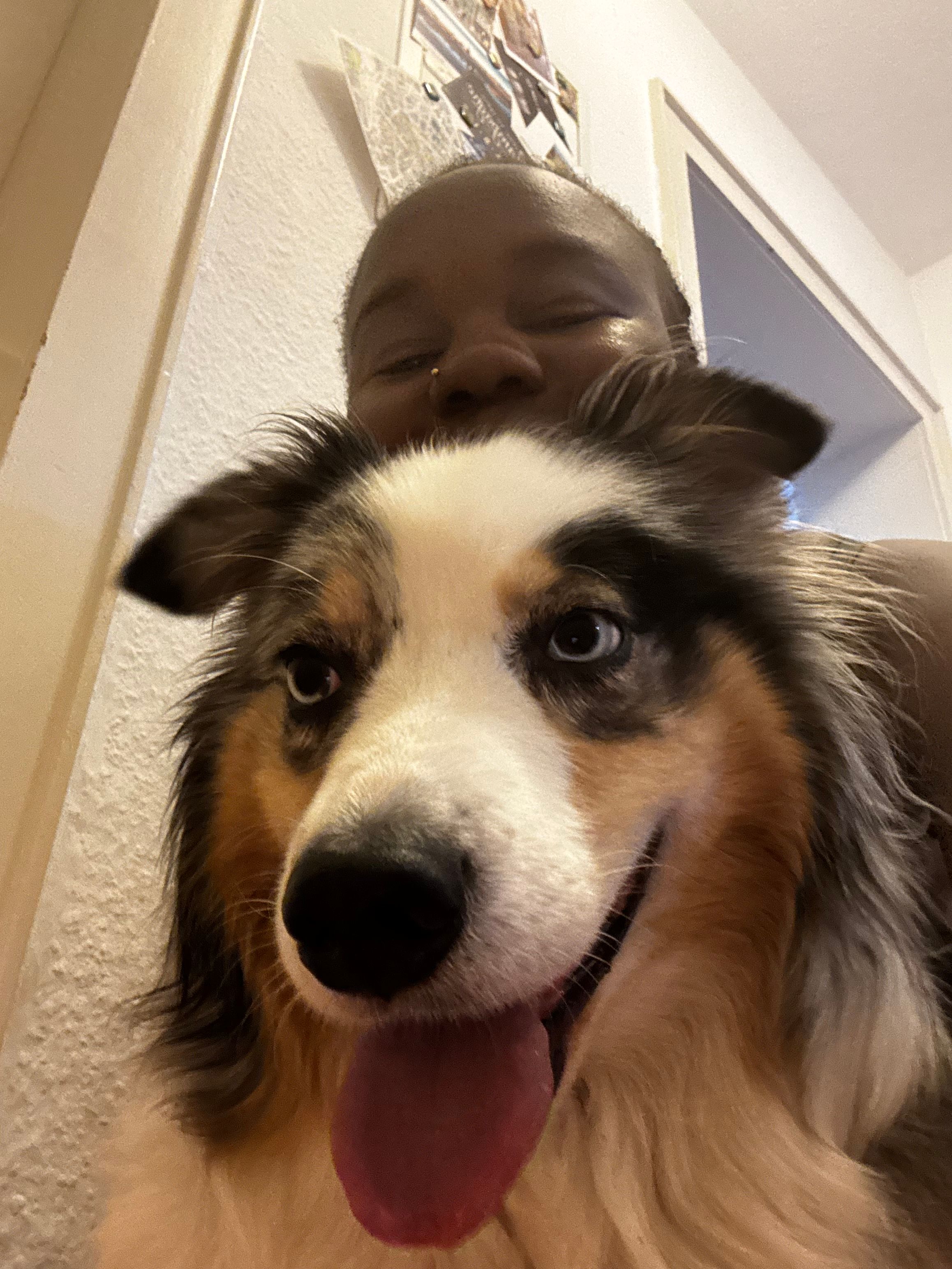 image-6