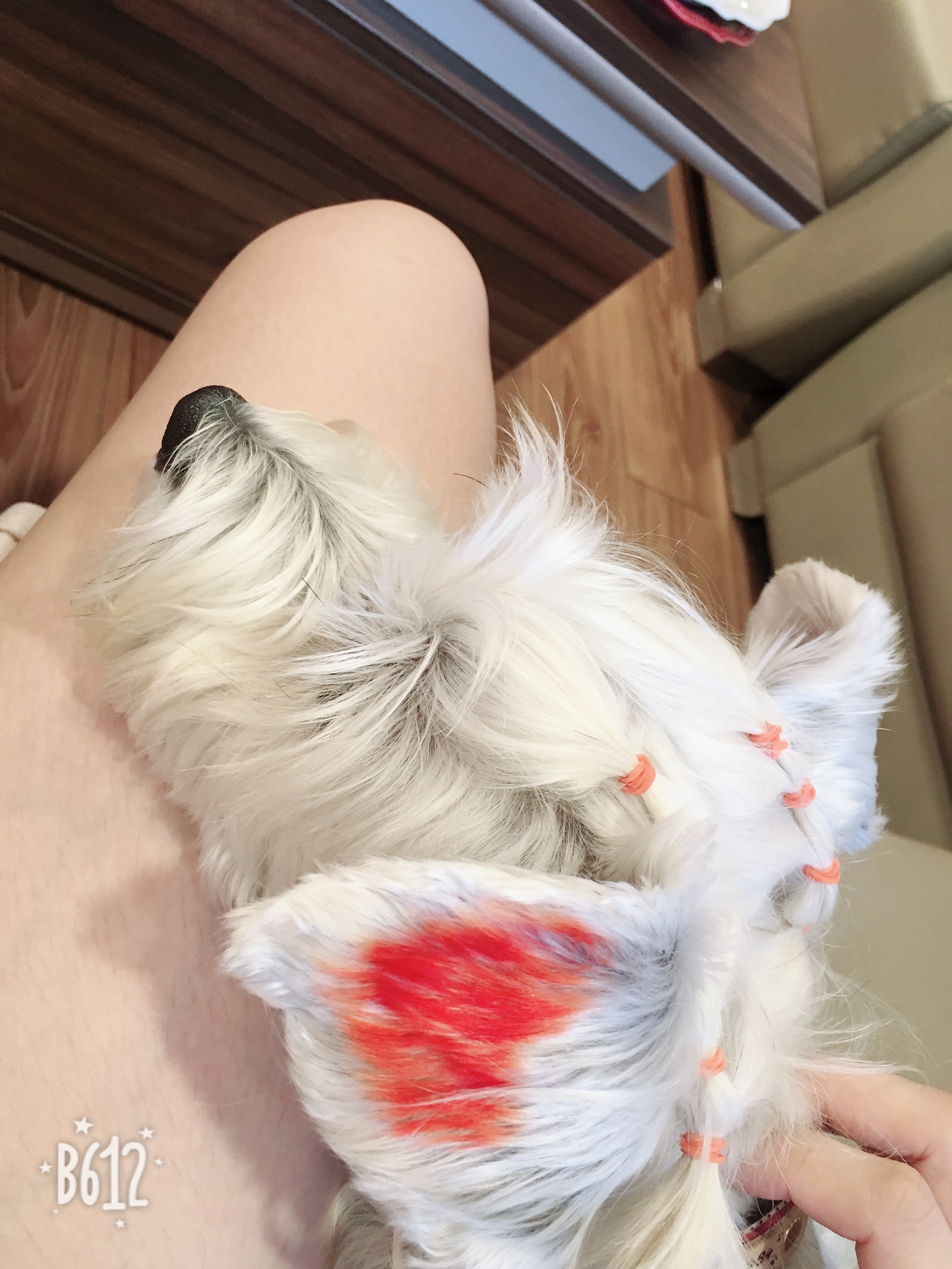 image-11