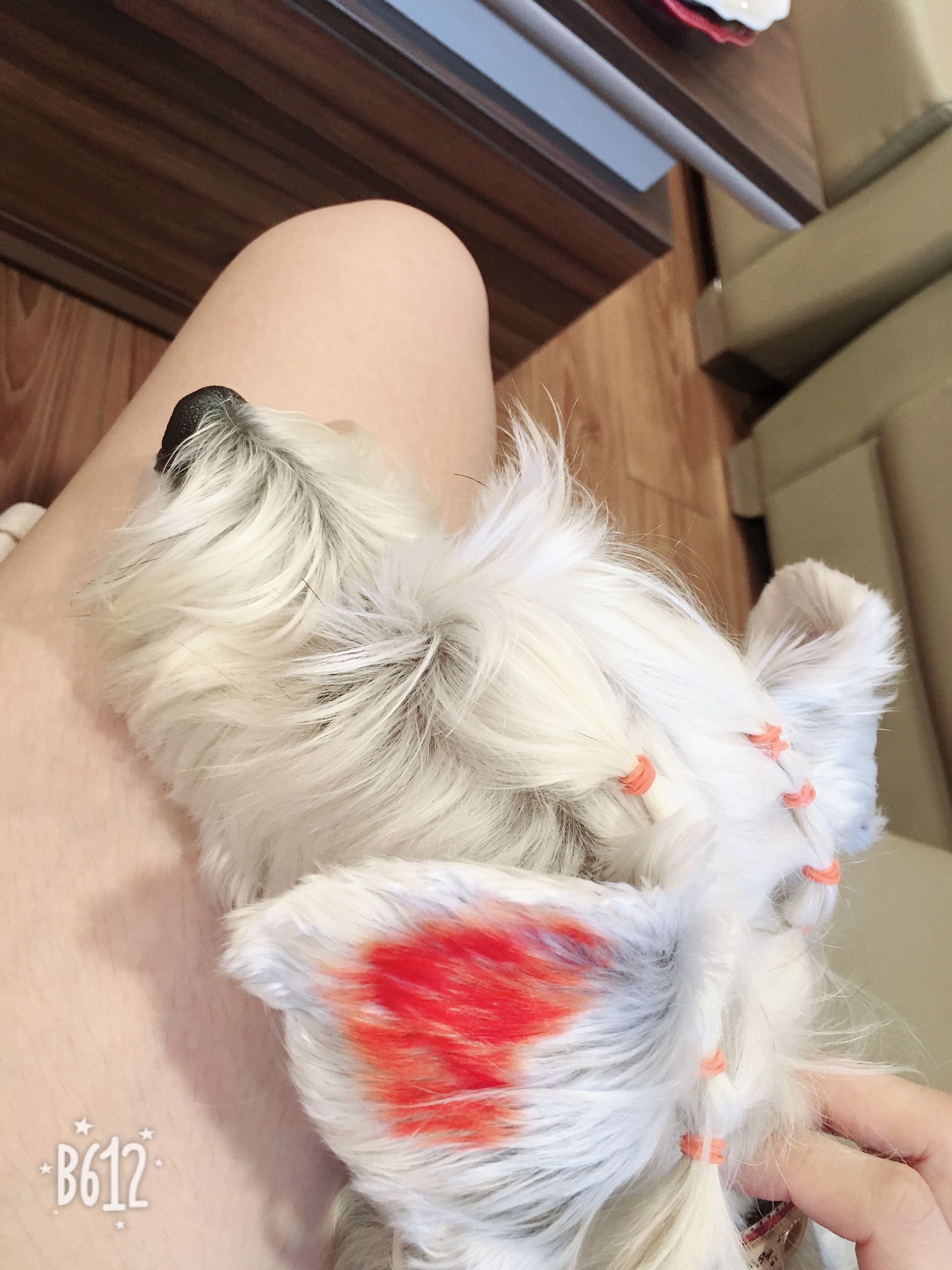 image-11