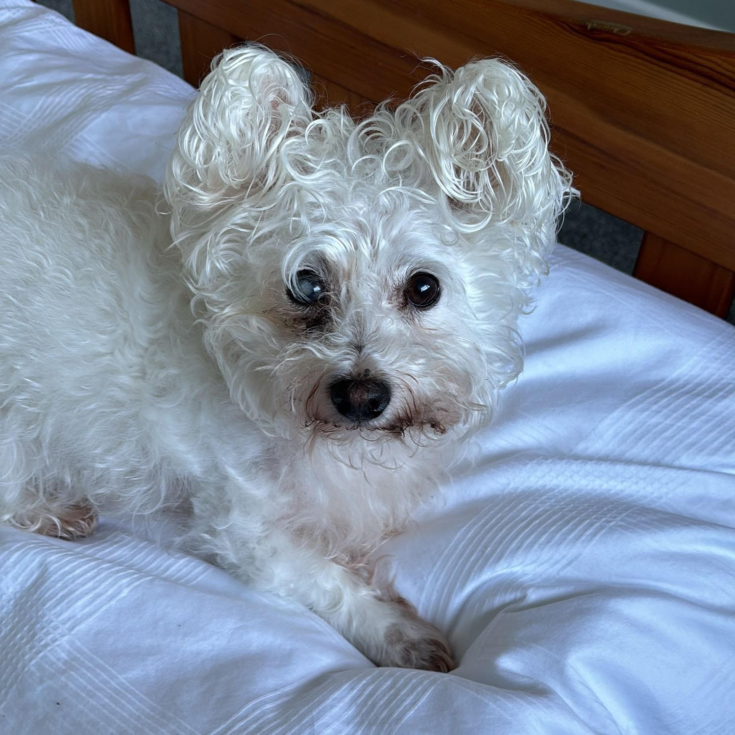 Mindy 