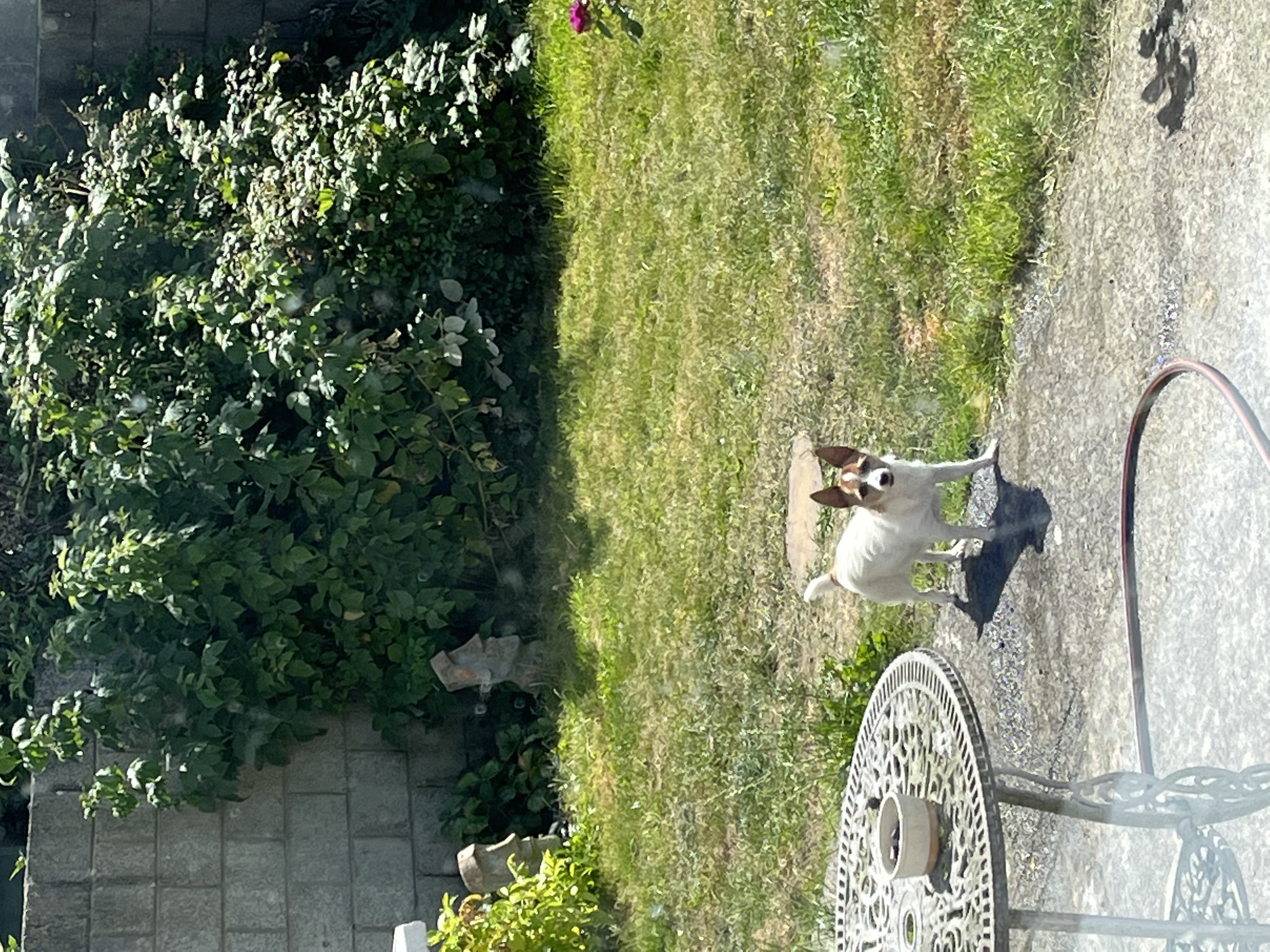 image-15