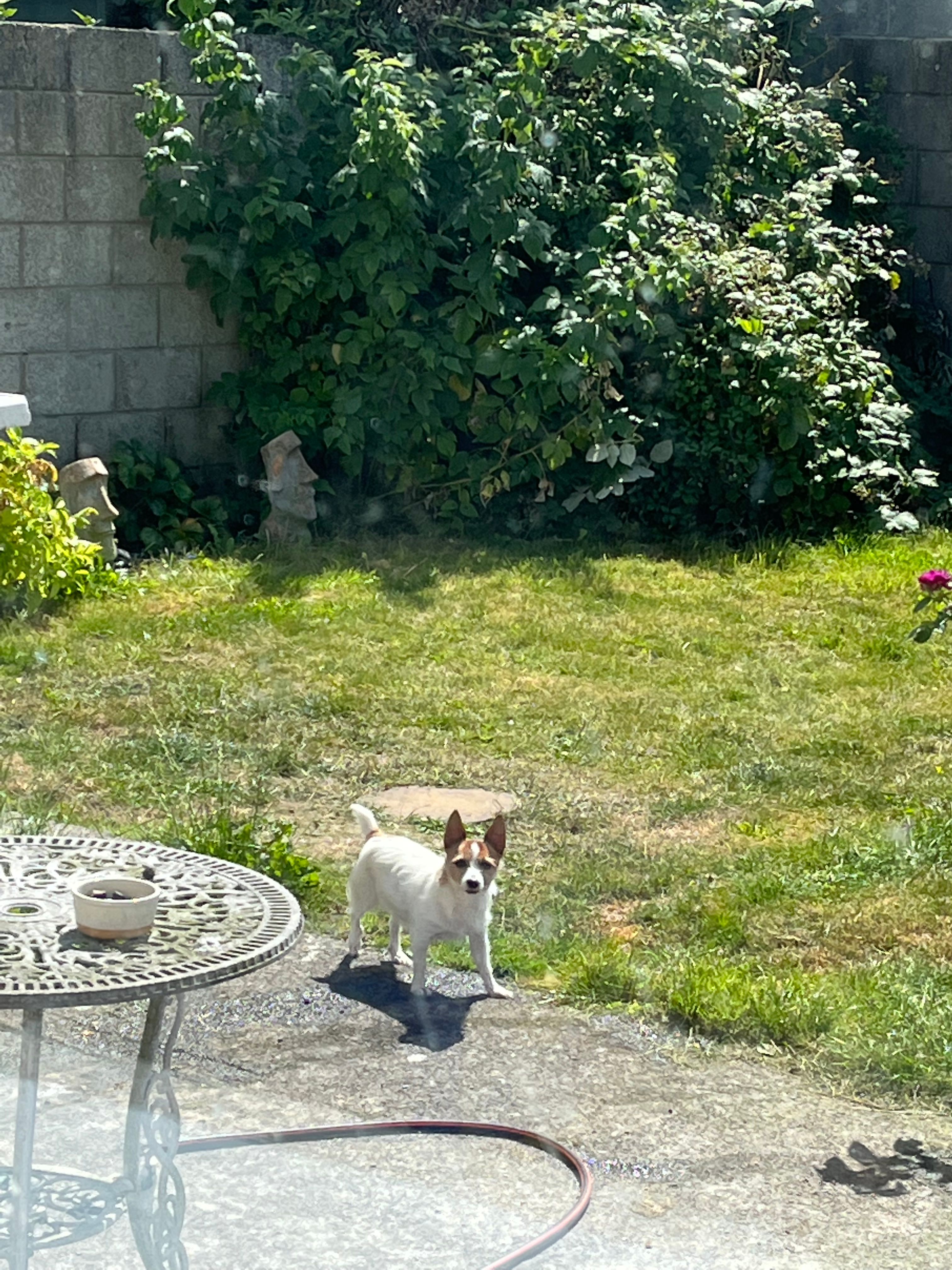 image-18