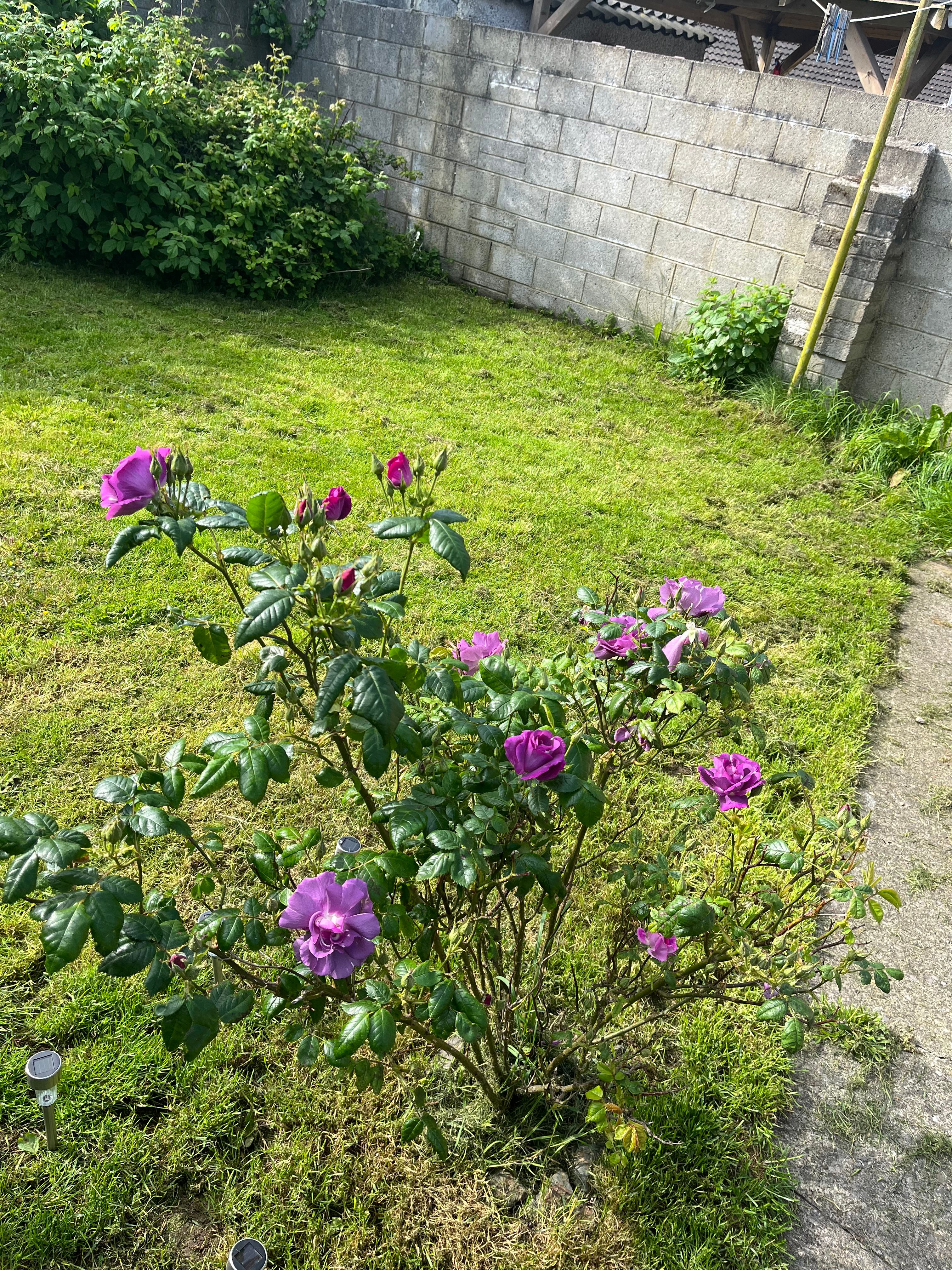 image-16