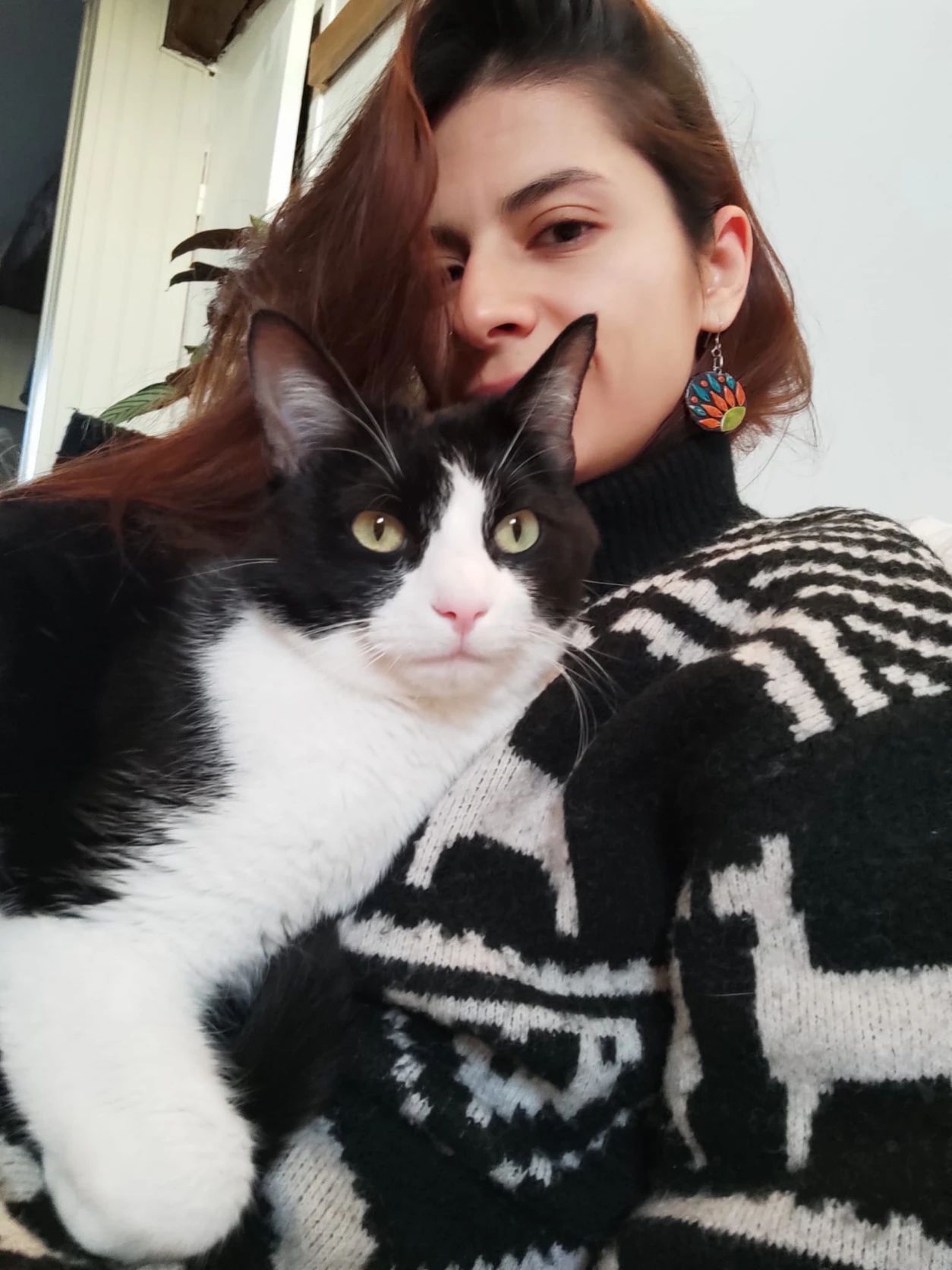 image-5