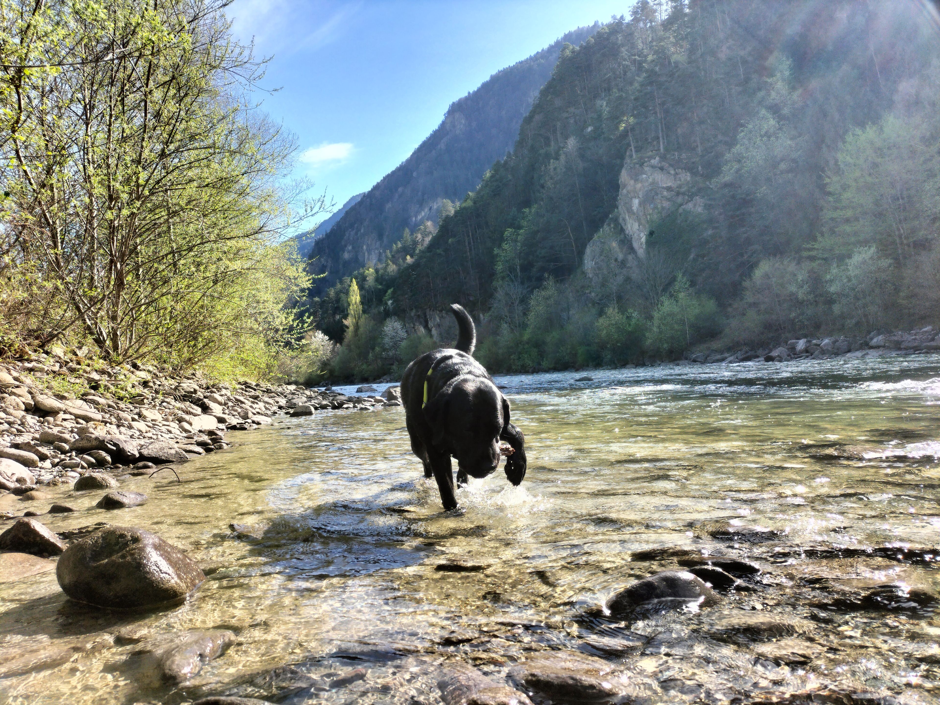 image-6