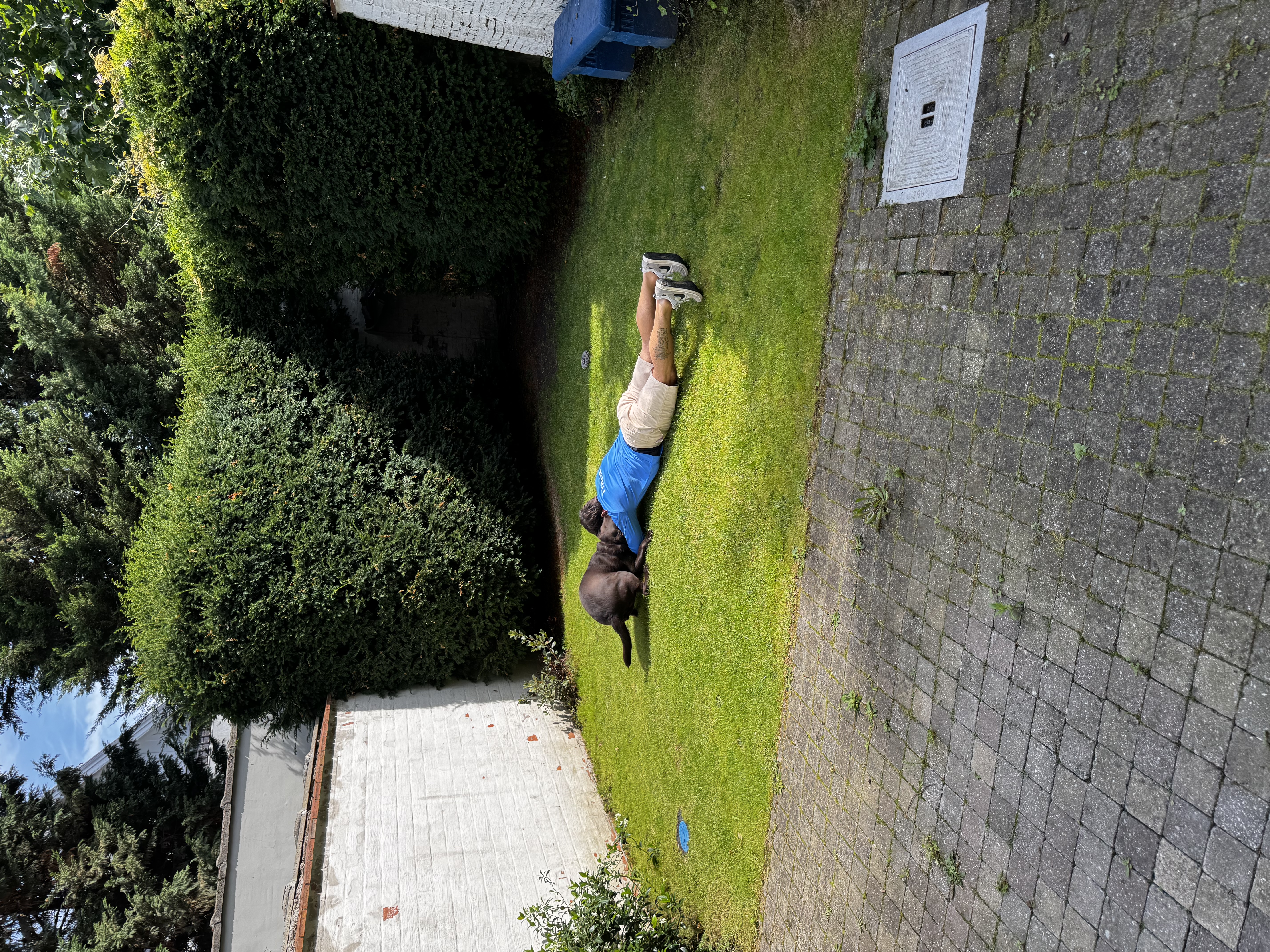 image-20