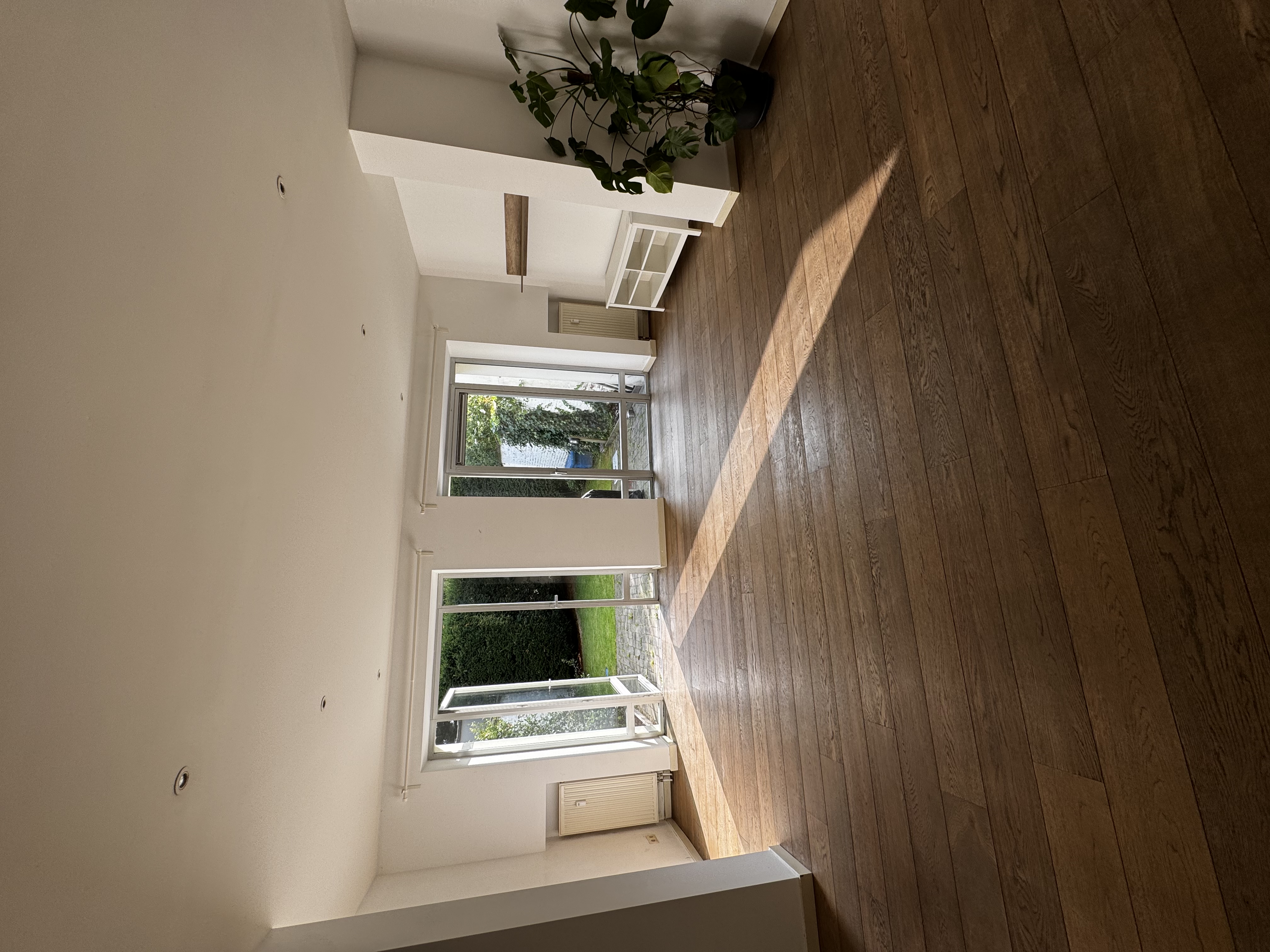 image-19