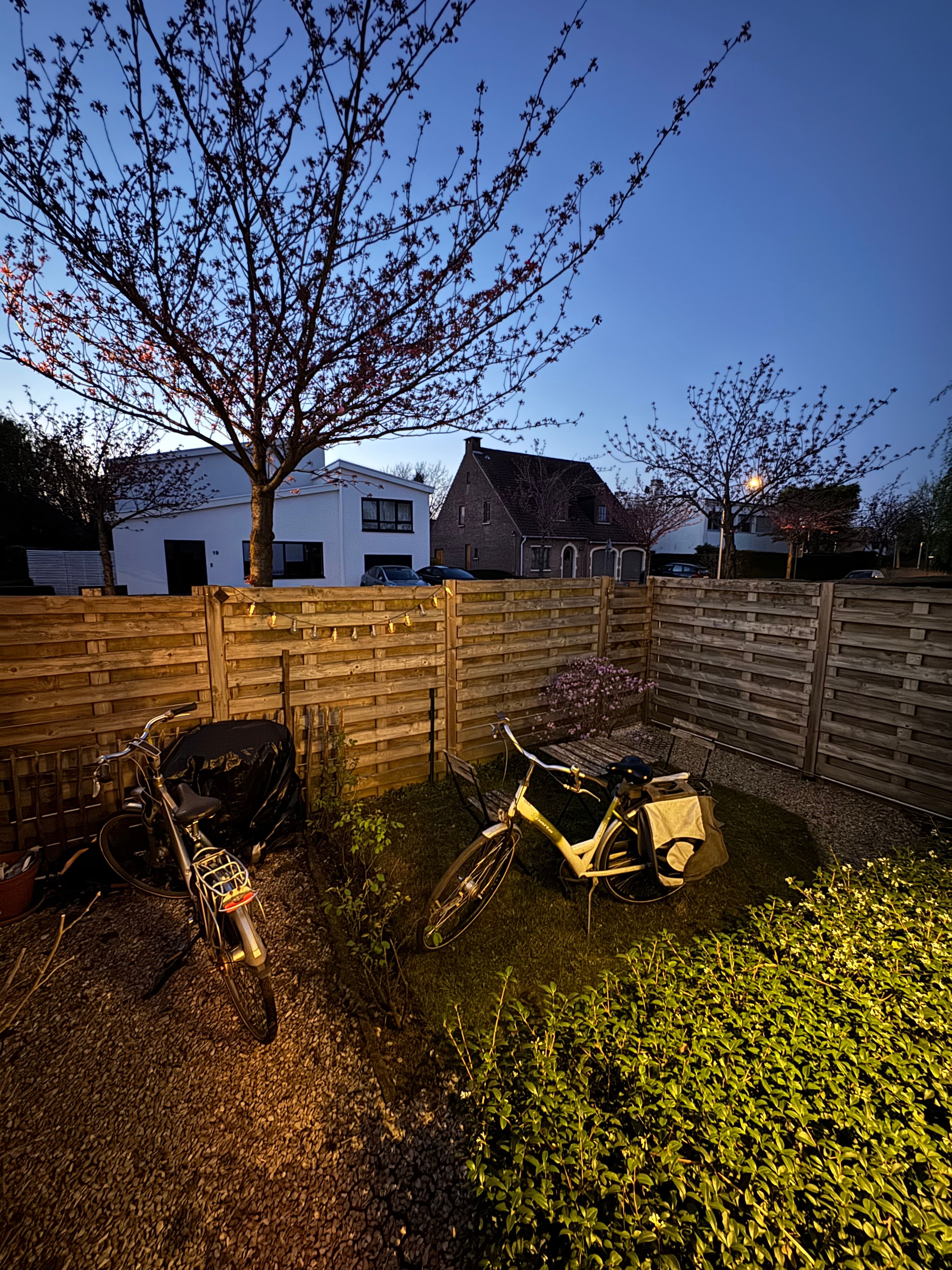 image-20