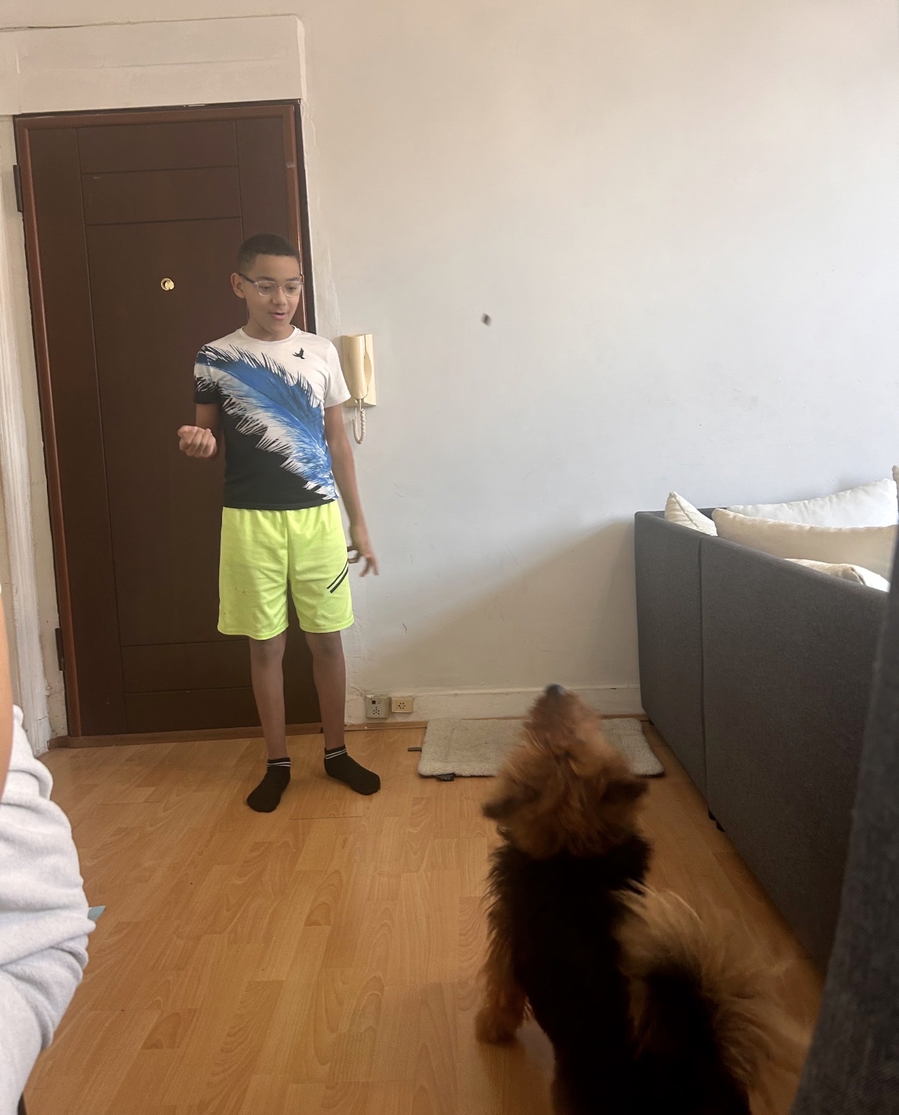 image-12