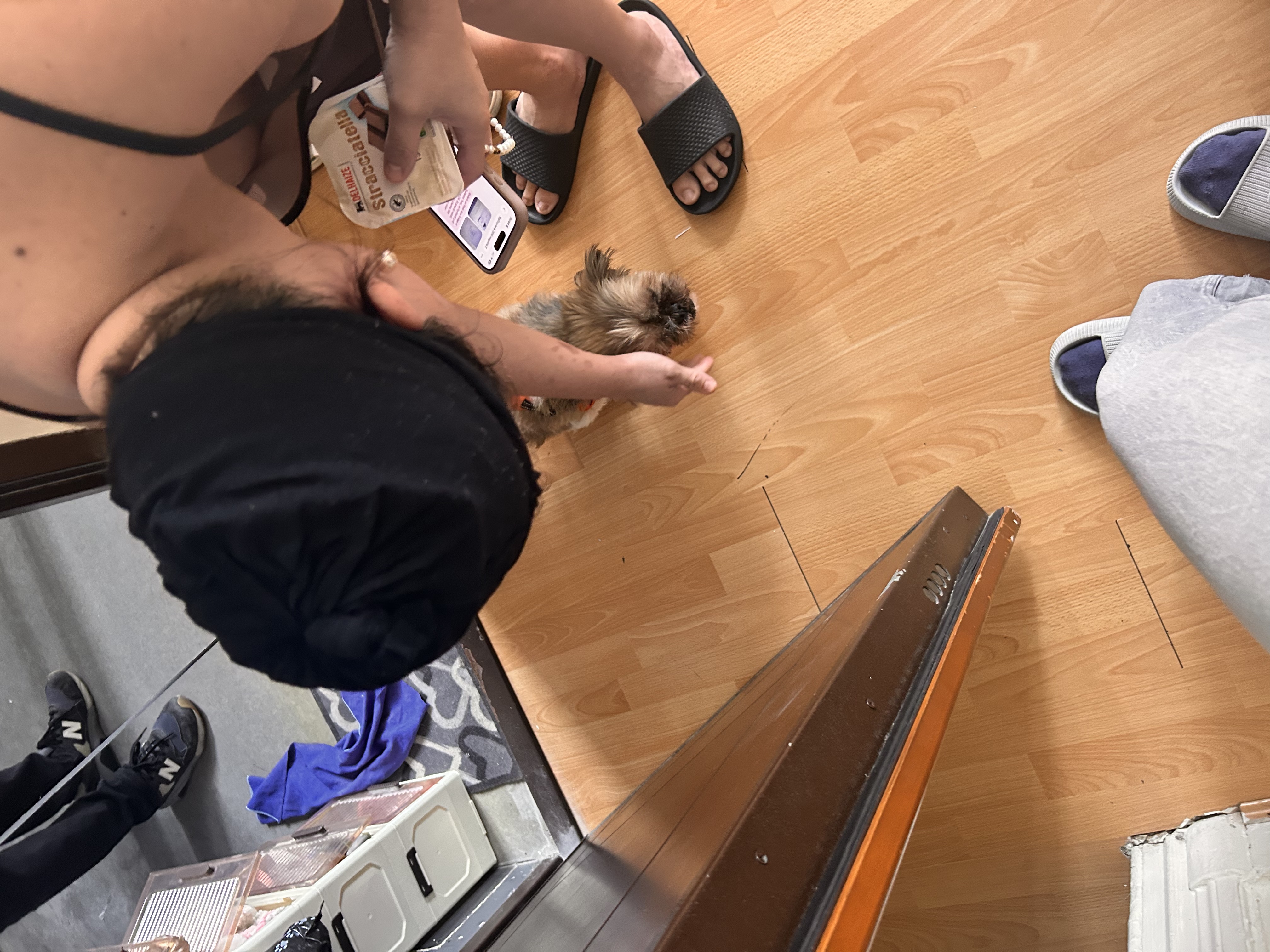 image-6