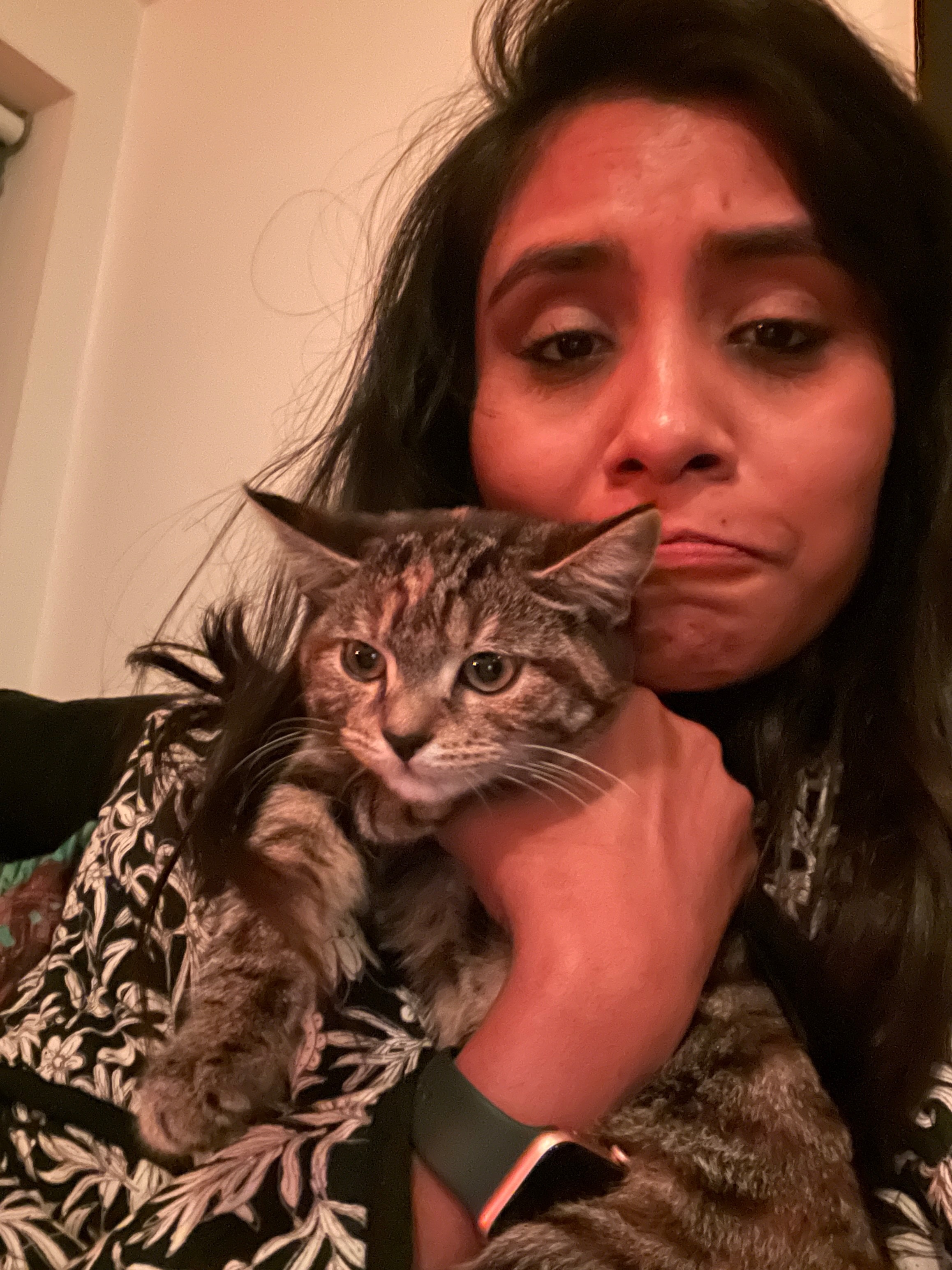 image-2