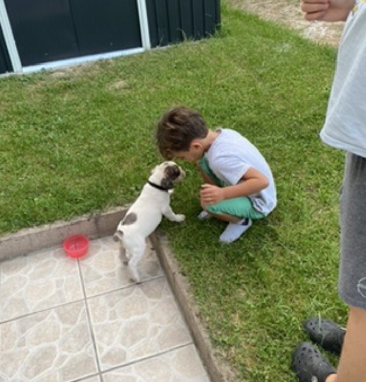 image-7