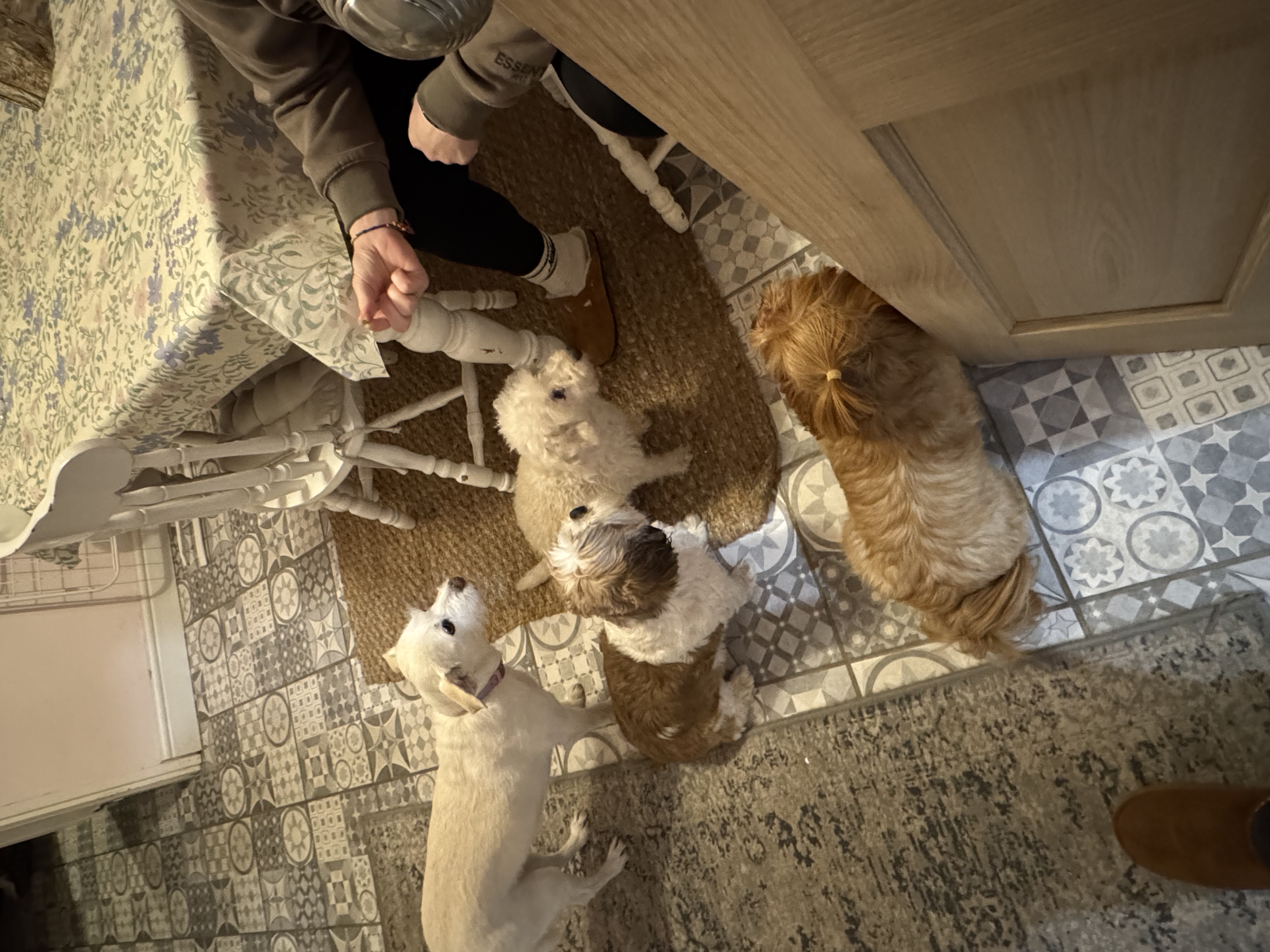 image-10