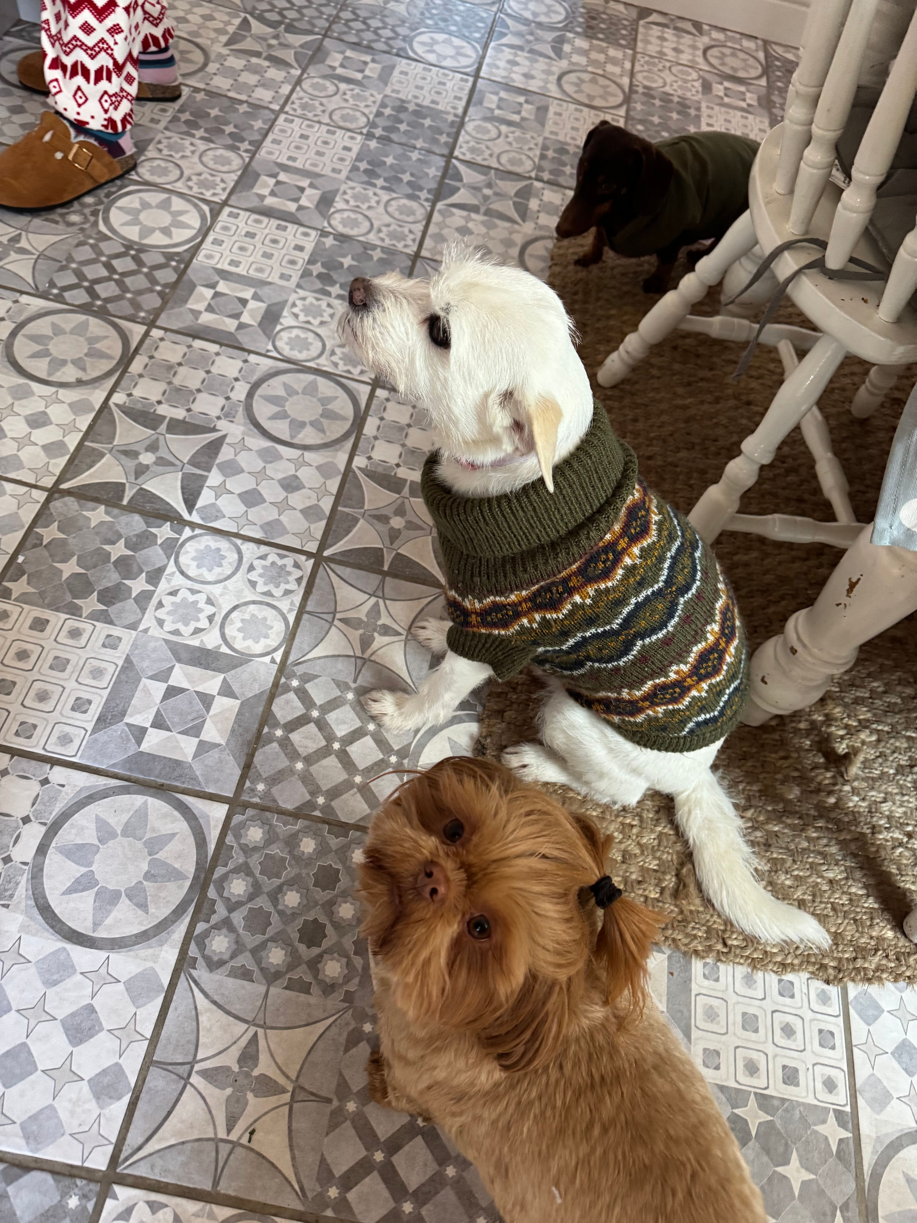 image-28