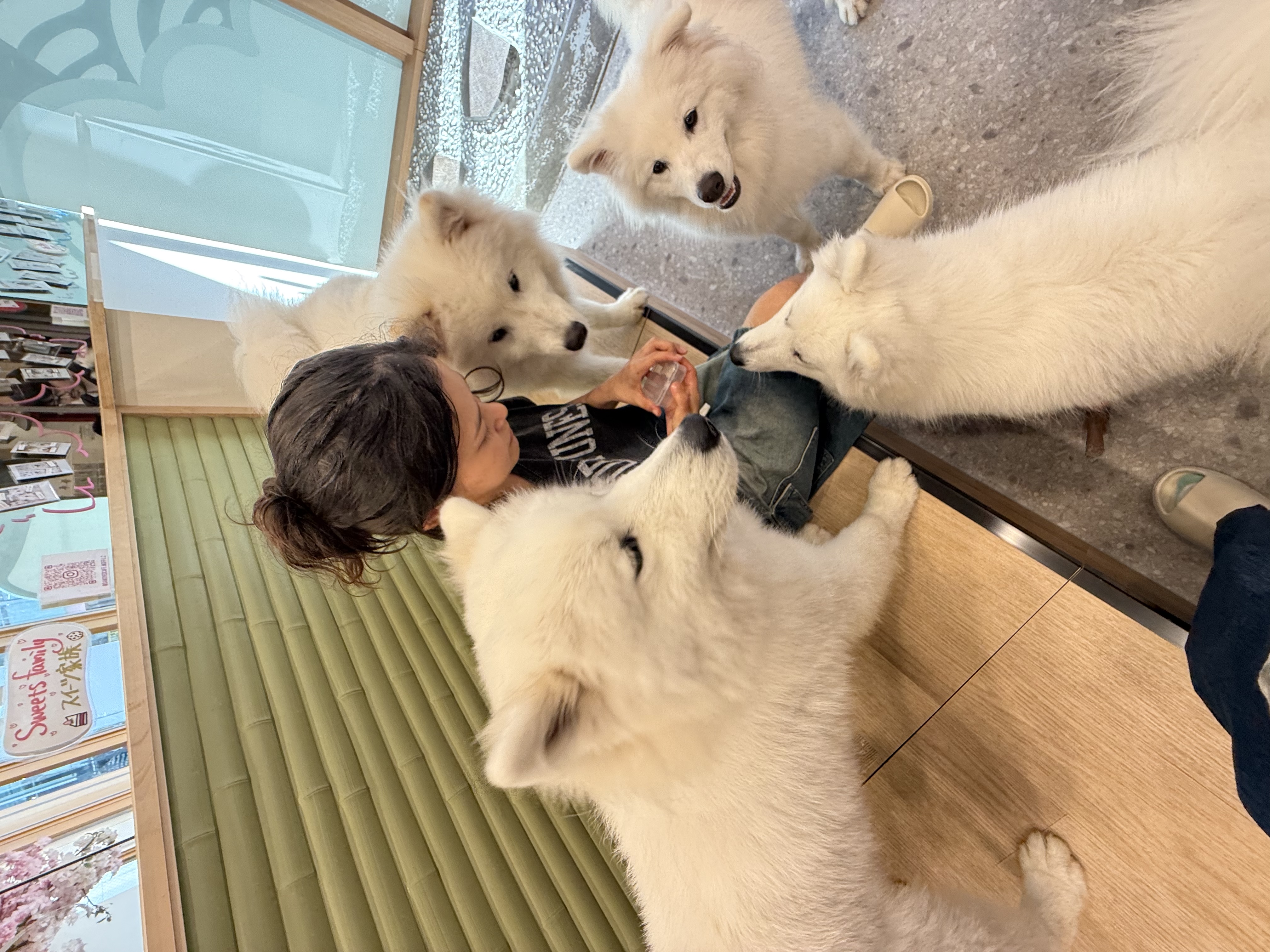 image-10