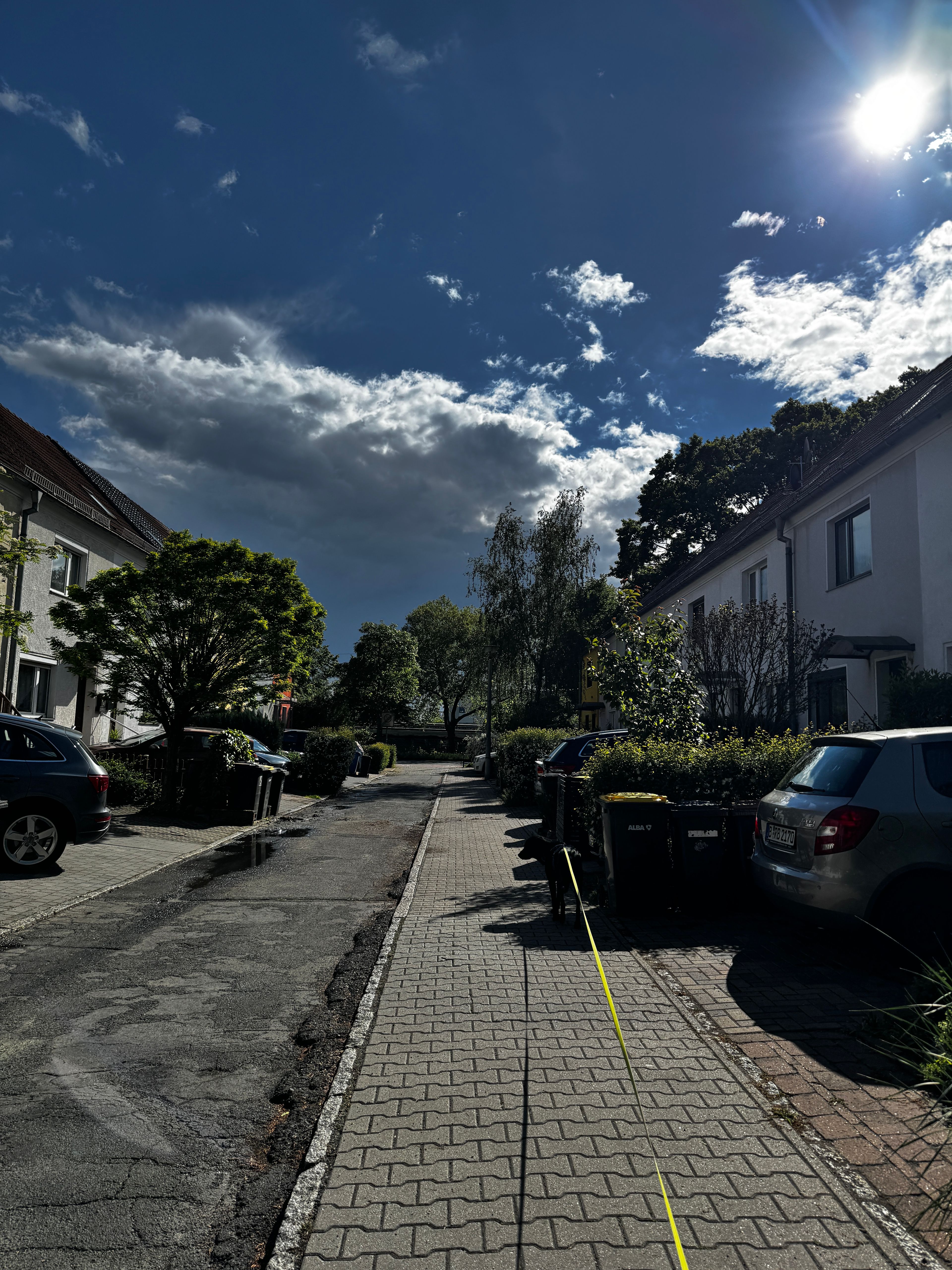 image-19