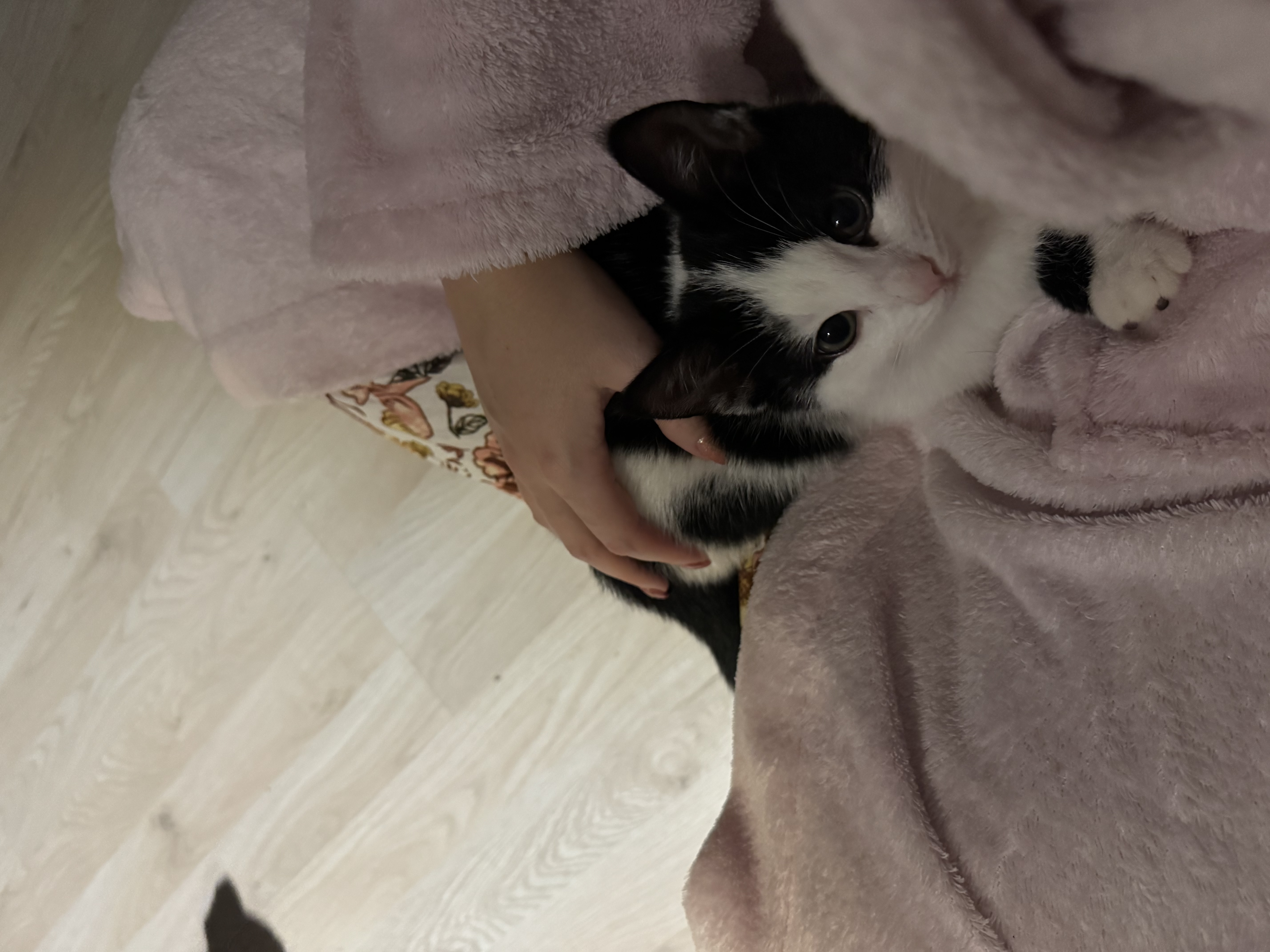 image-3