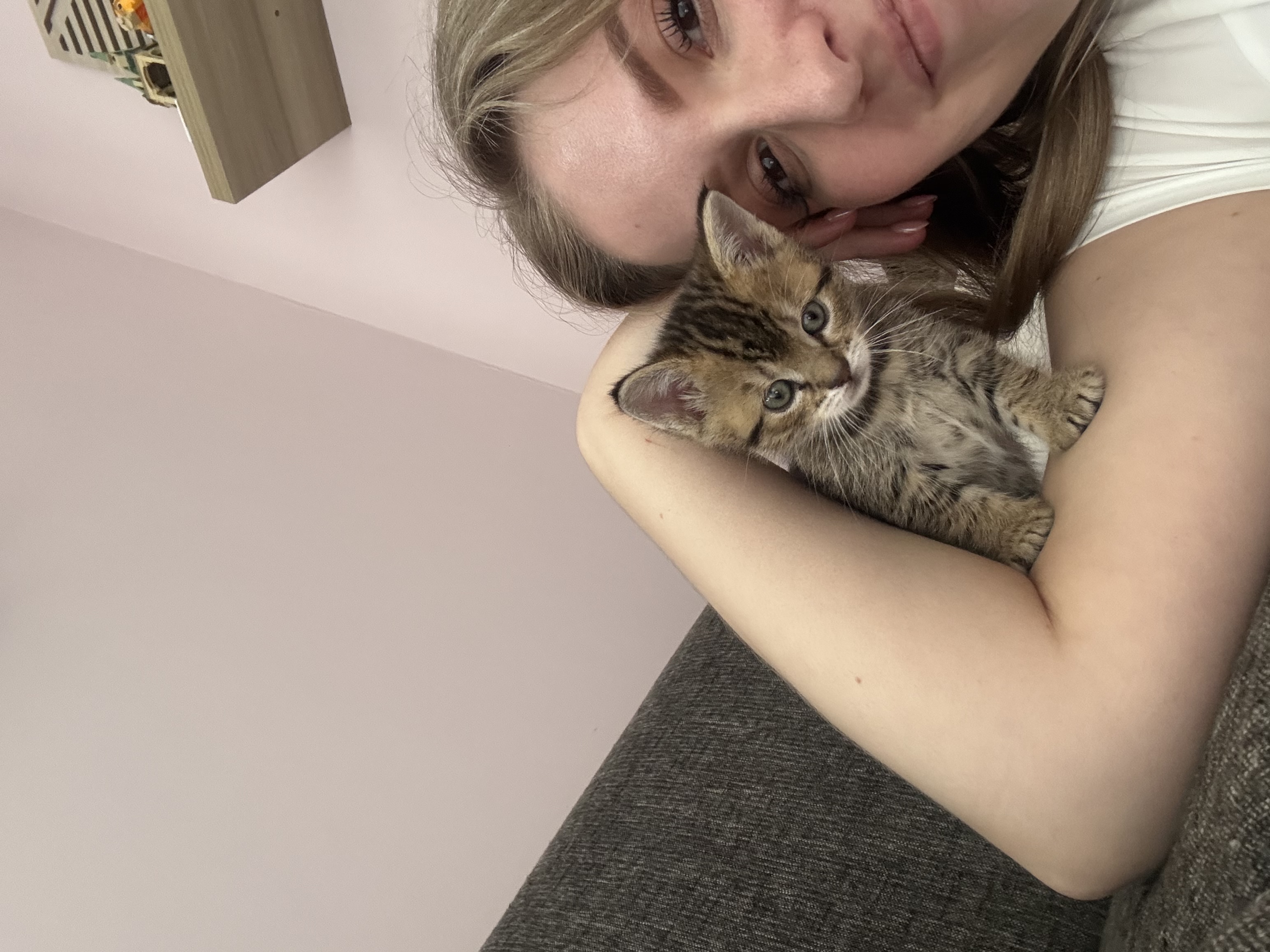 image-11