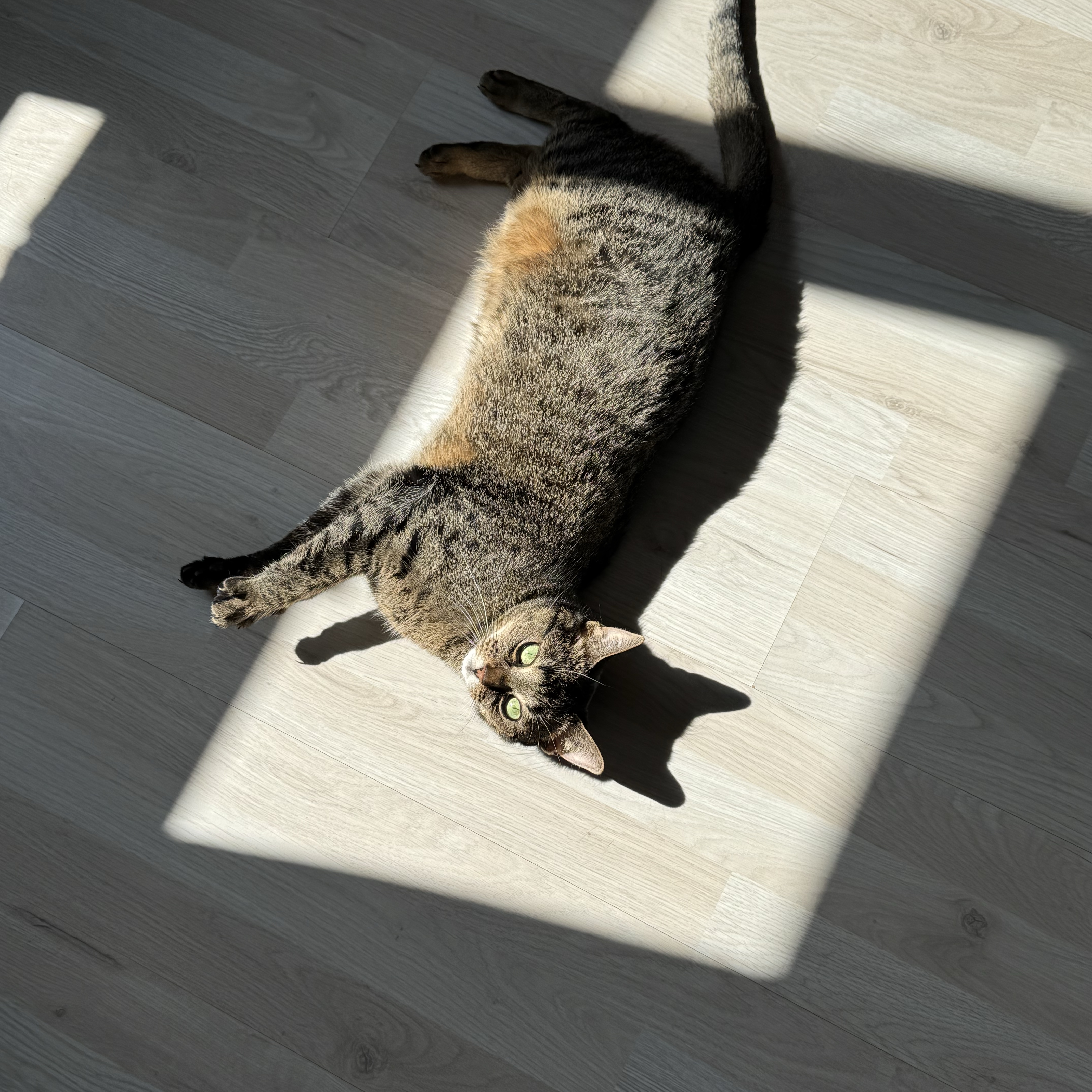 Luna