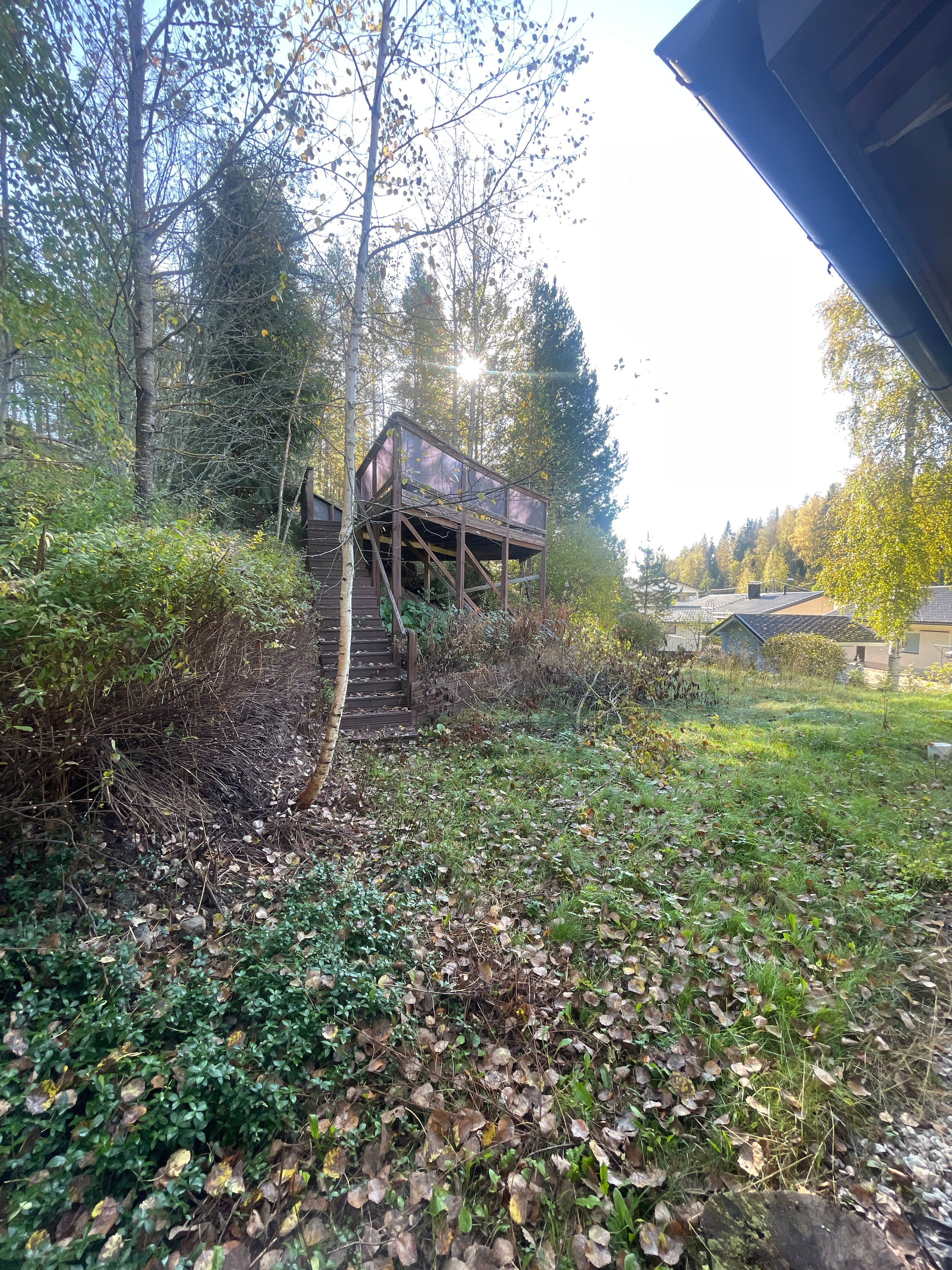 image-14