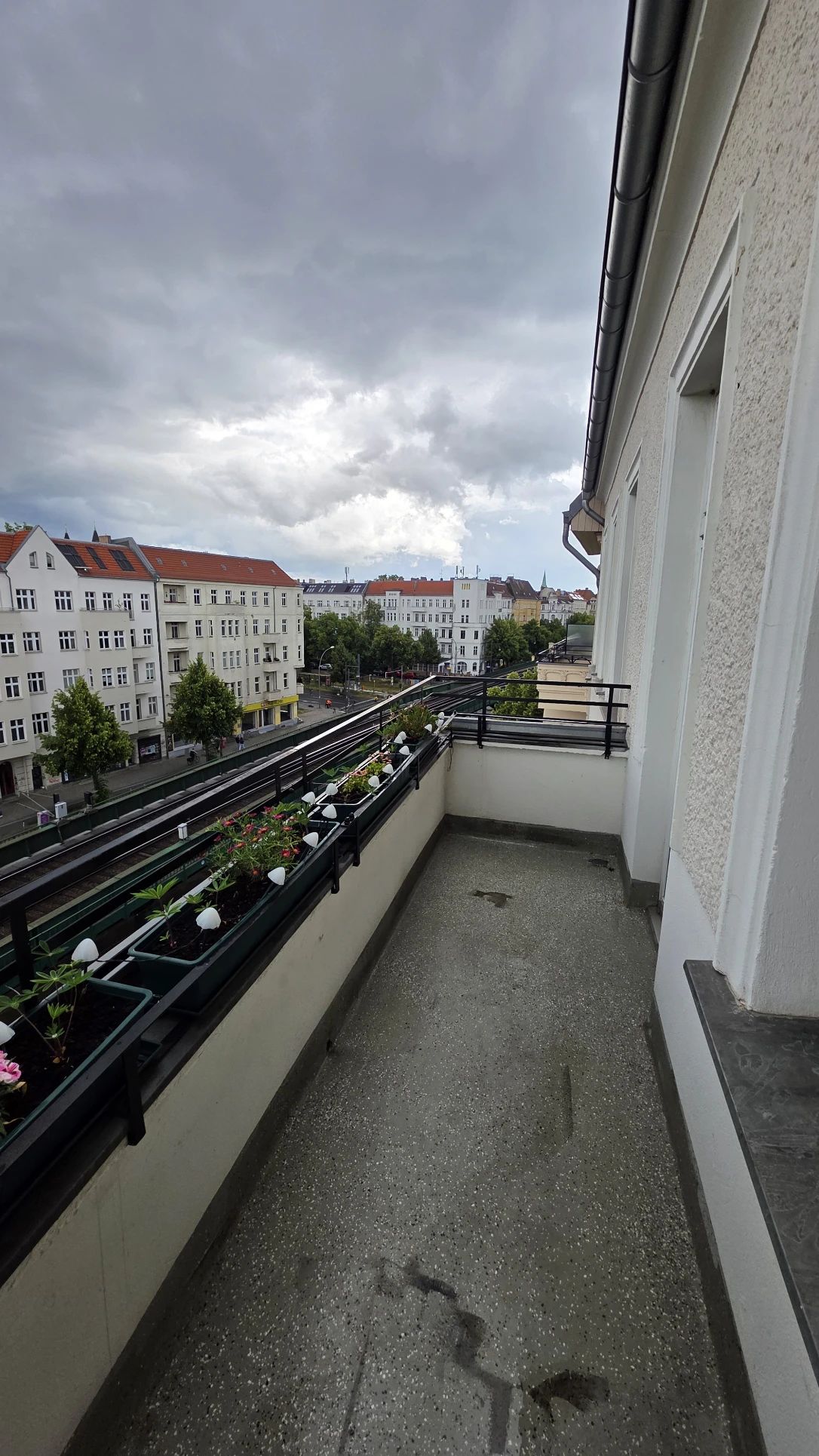 image-19