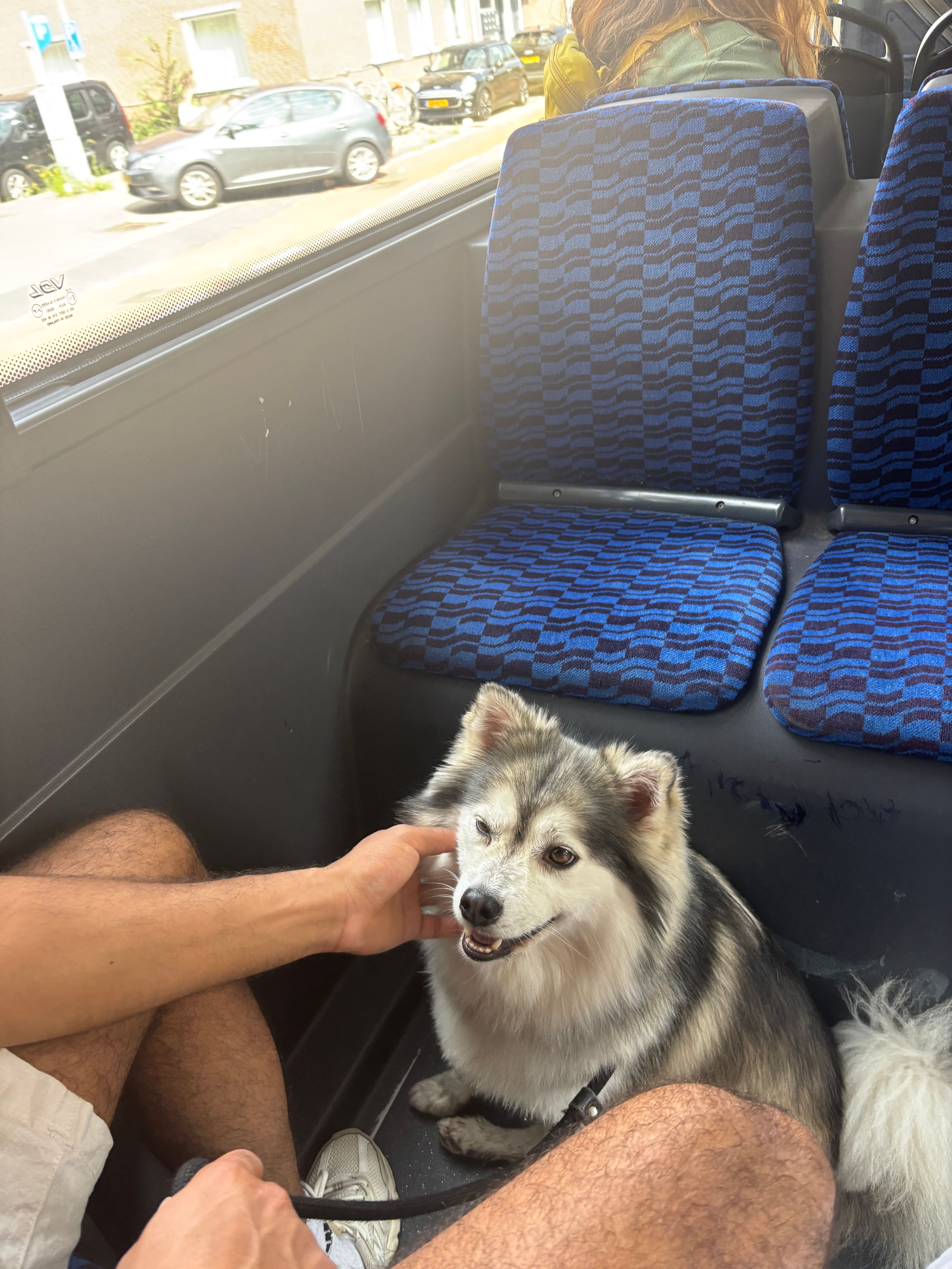 image-7