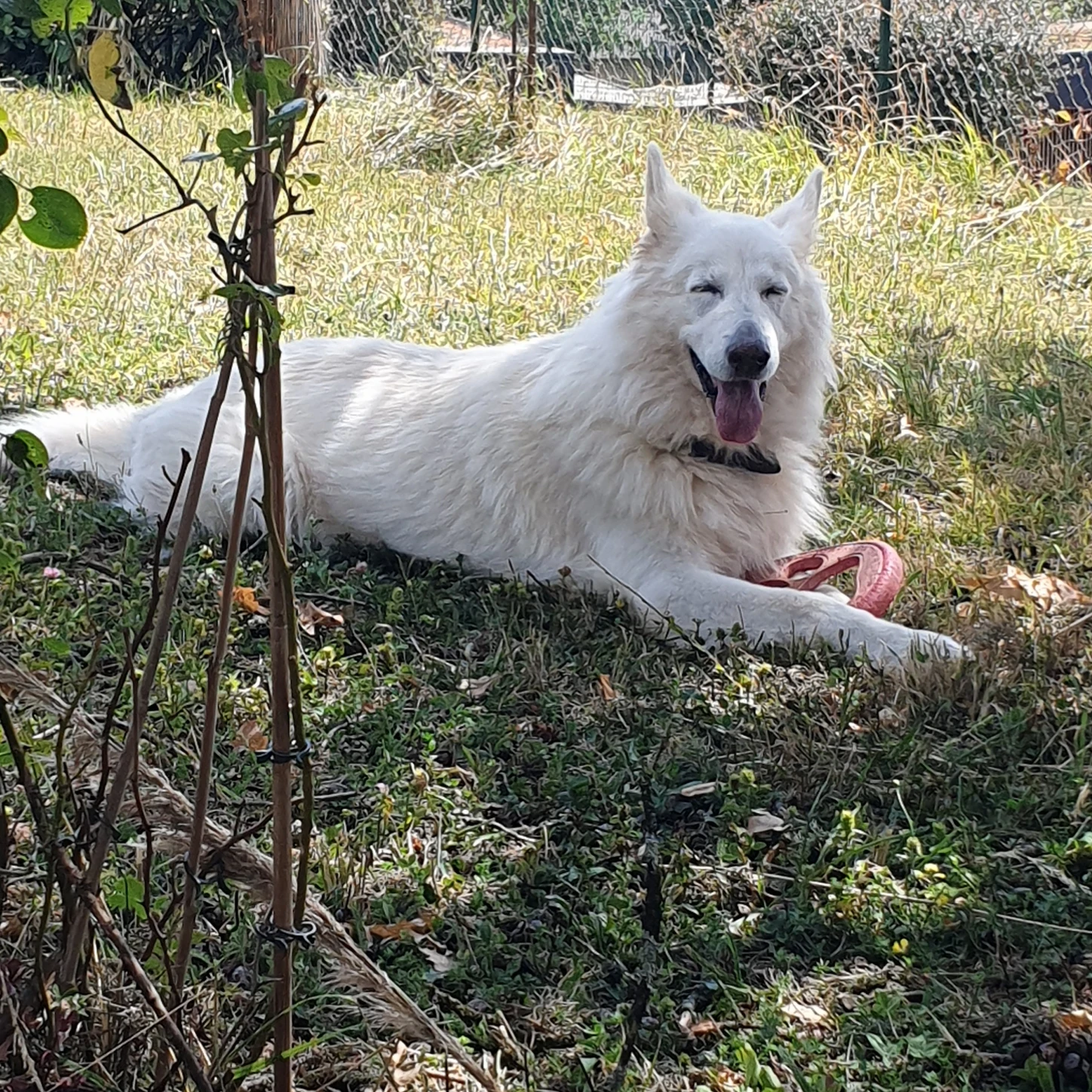 image-16