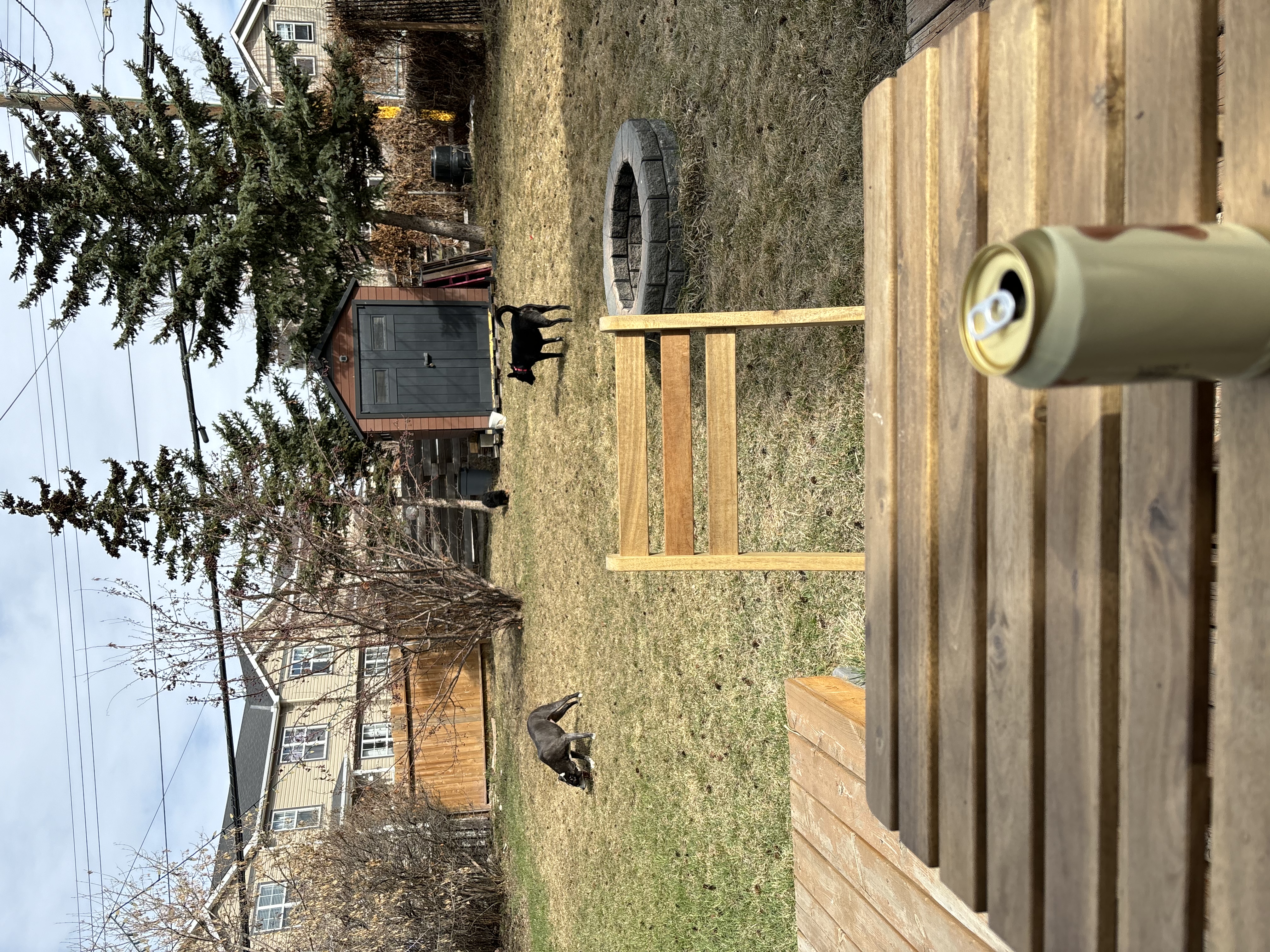 image-33