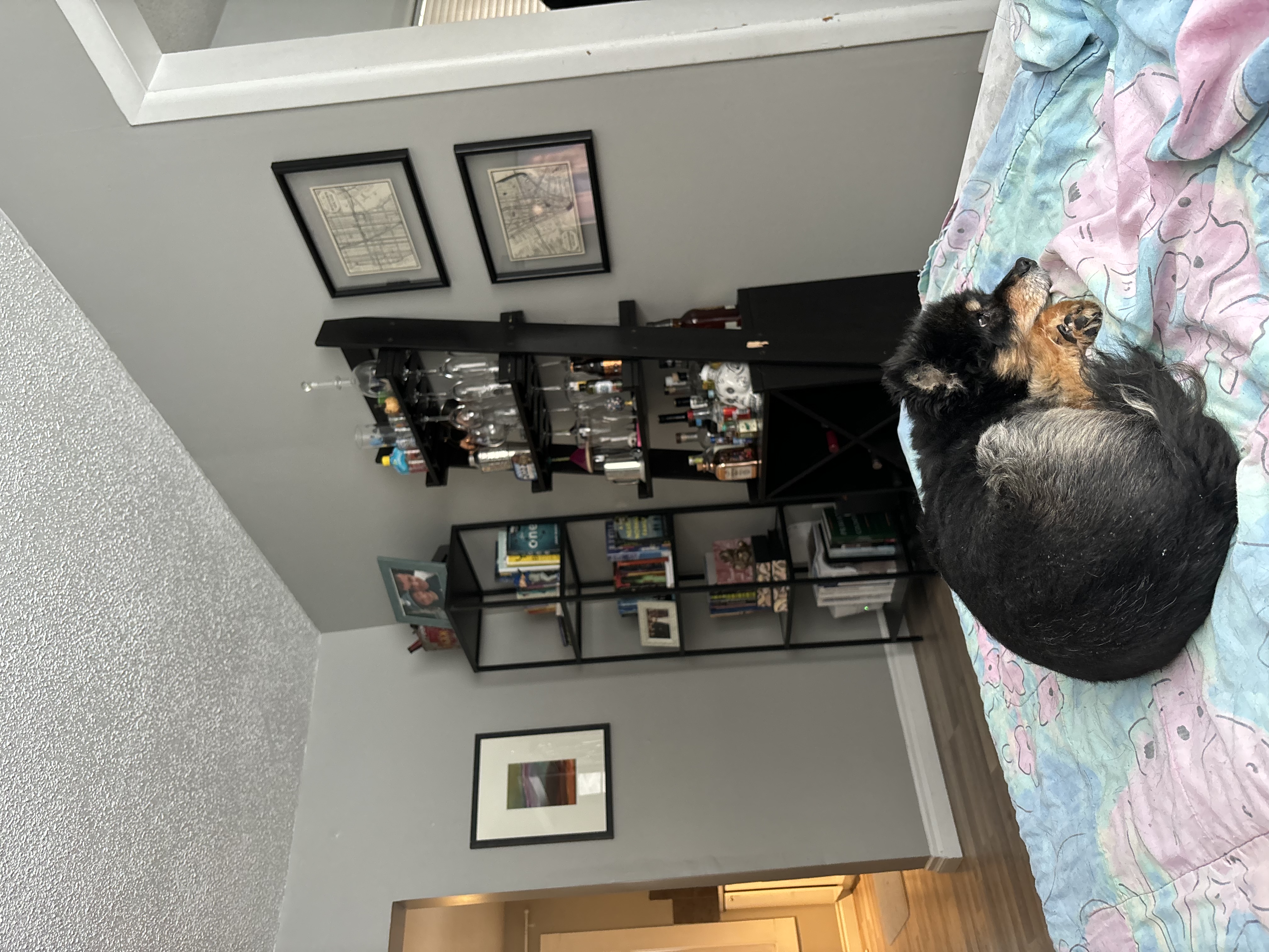 image-37