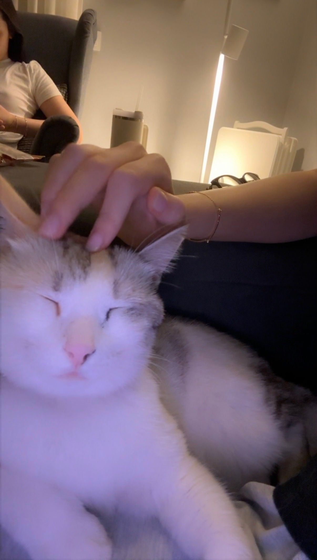 image-6