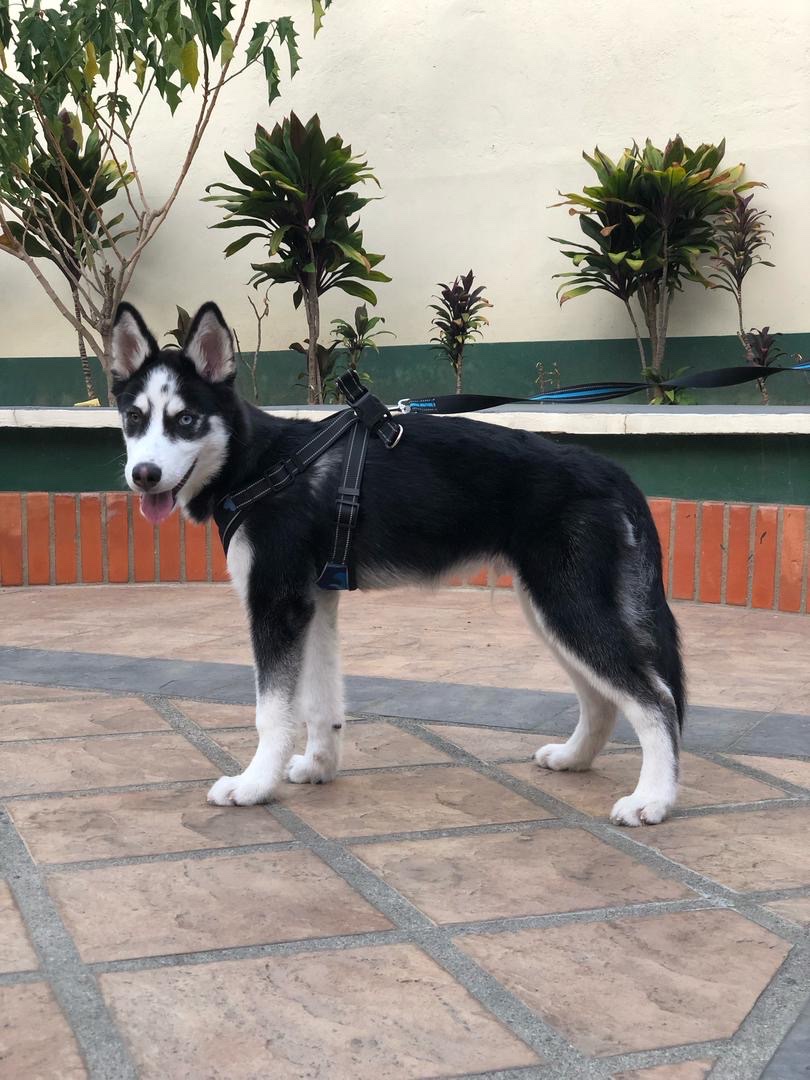 image-11